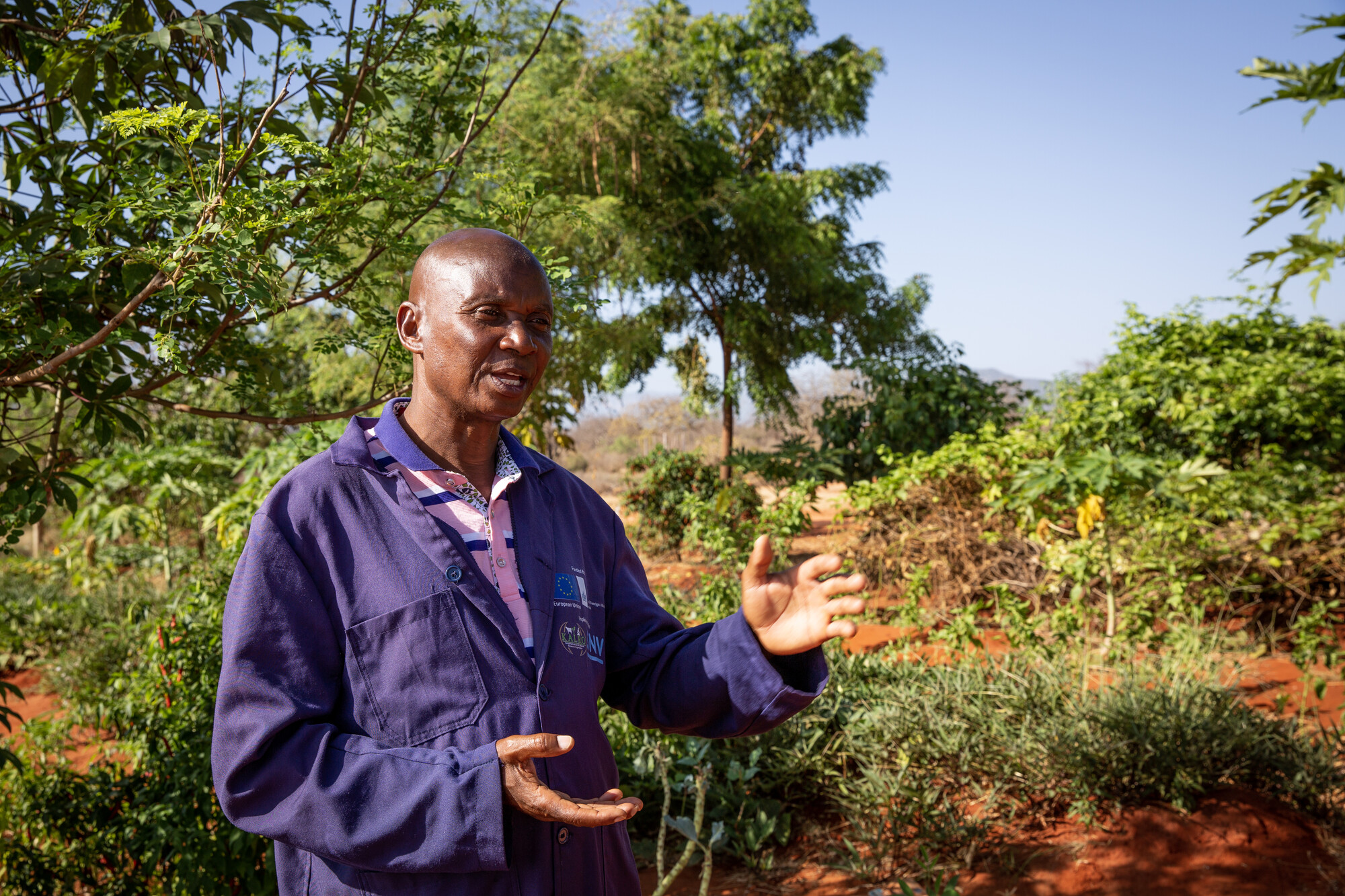 Farmer Jonnes Ellijah Mlegwah receives information from the Kenya Meteorological Department through a WhatsApp group and the radio. He is responsible for sharing the information weekly with farmers in a farmer field school. There they also discuss the advisories given and how to adapt their farming. Jonnes explains what he has done at his farm to cope with drought. “Before, I used to plant crops without following the weather forecasts,” Jonnes says. “Today, if we have less rain, we are told to grow crops that are drought-tolerant and mature early – like green grams.”
