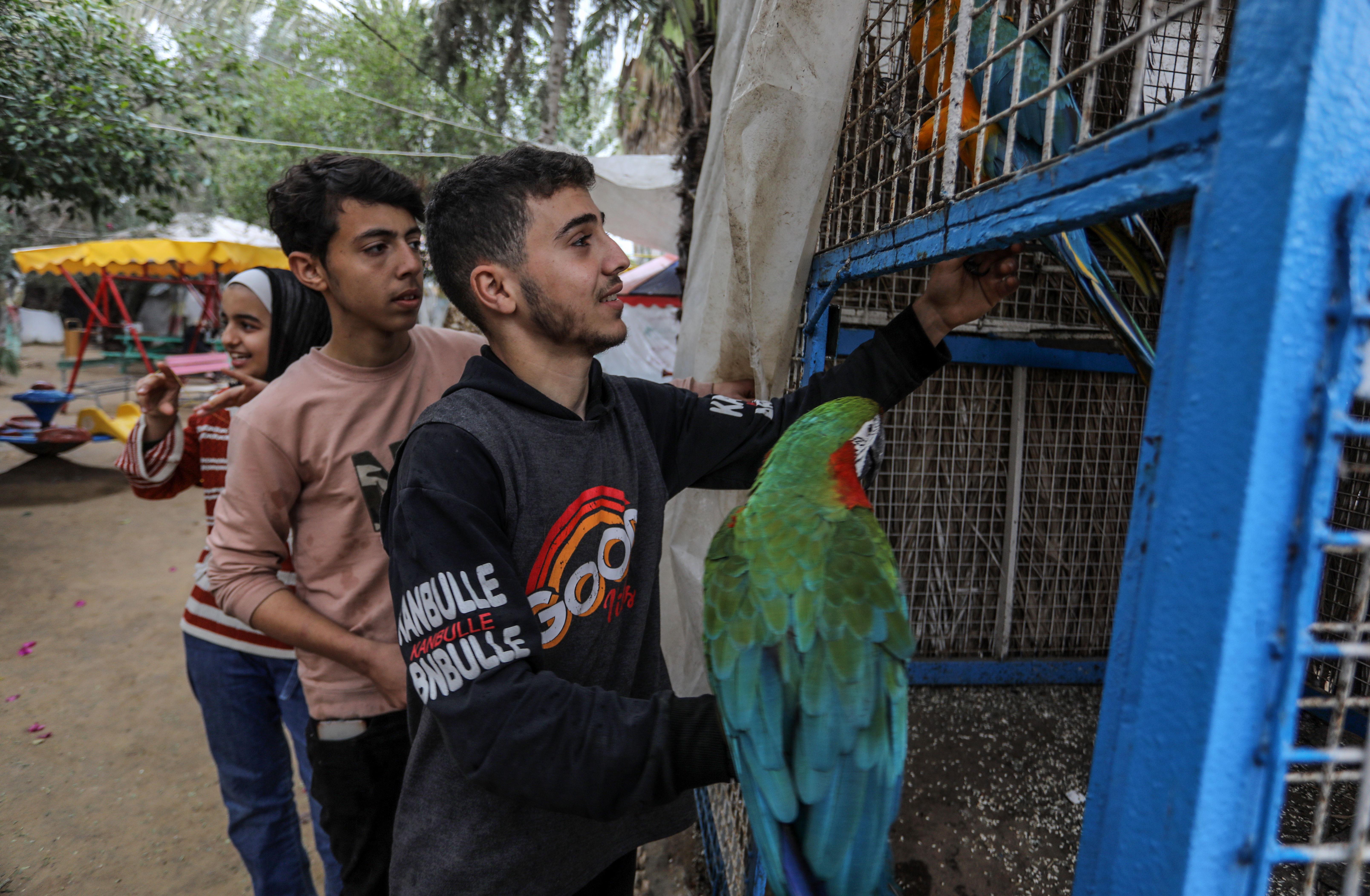 Lions, monkeys and parrots struggle to find food and medical treatment while they live under harsh conditions at the zoo due the Israeli attacks that continue in Rafah, Gaza.