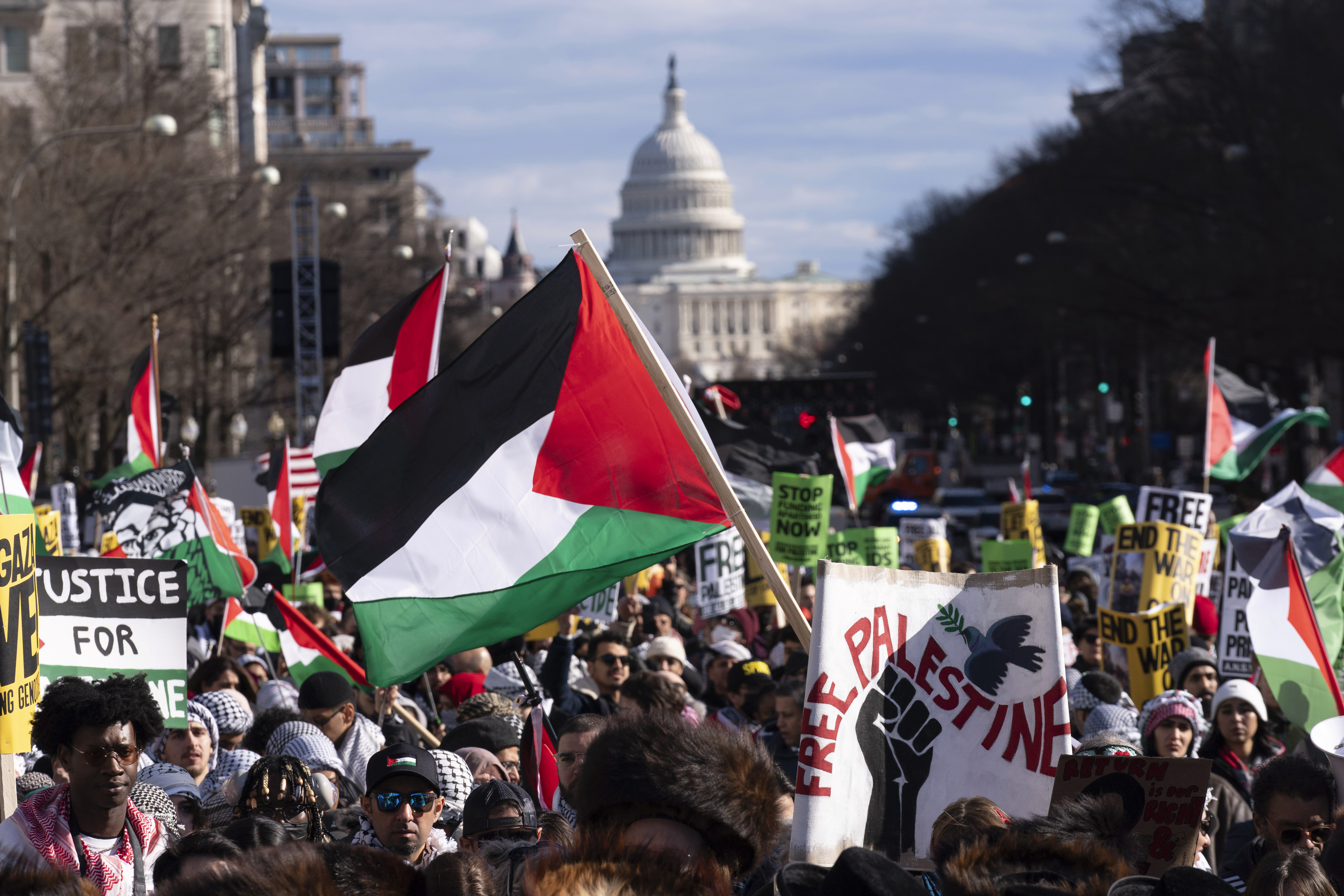 Pro-Palestinian protests in Washington DC