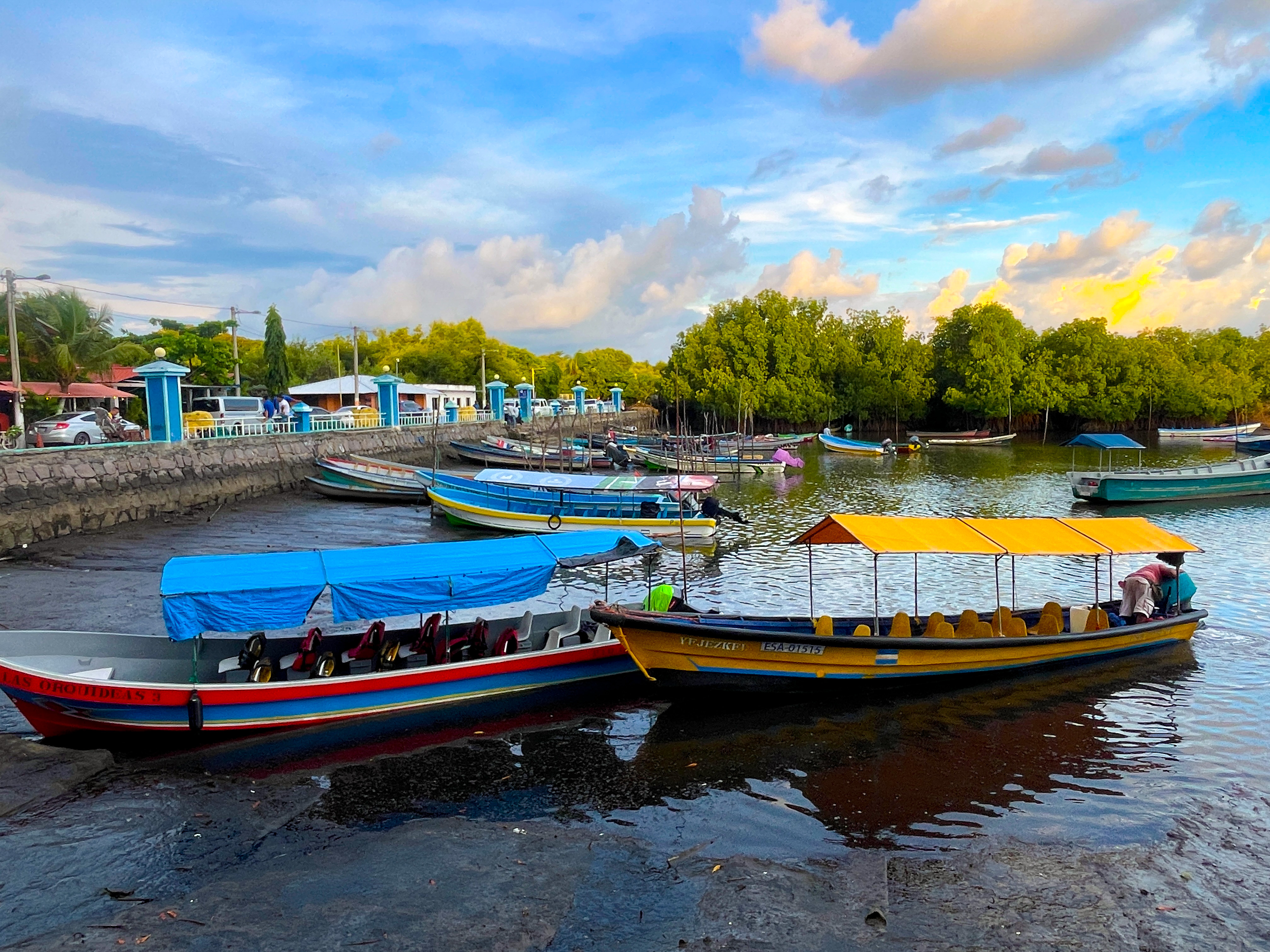 Brightly colored boats sit on calm waters at a mangrove-lined dock.
