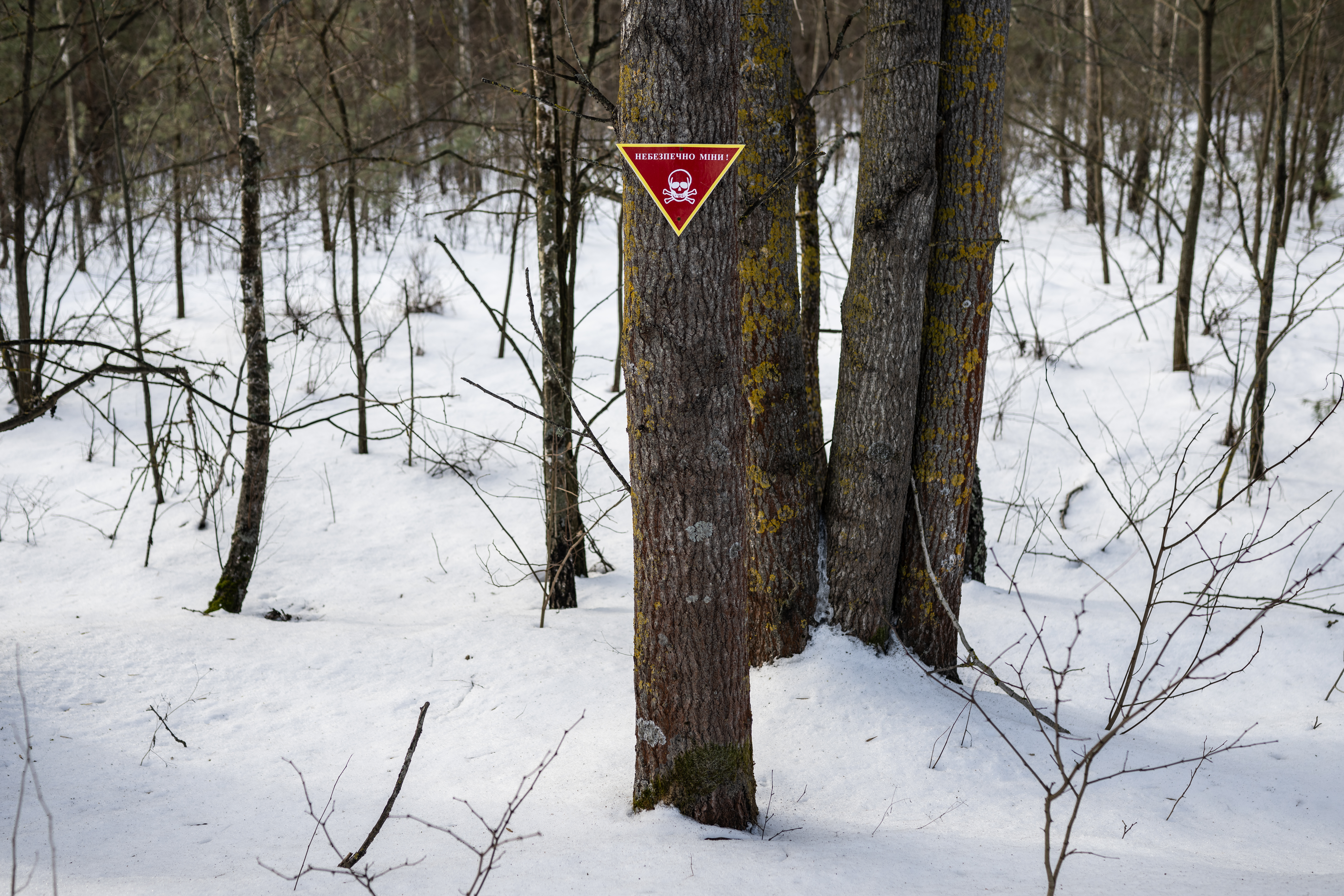 Two Years Later, Ukrainian Survivor Recounts Russia’s 28-Day Ordeal in Captured Village