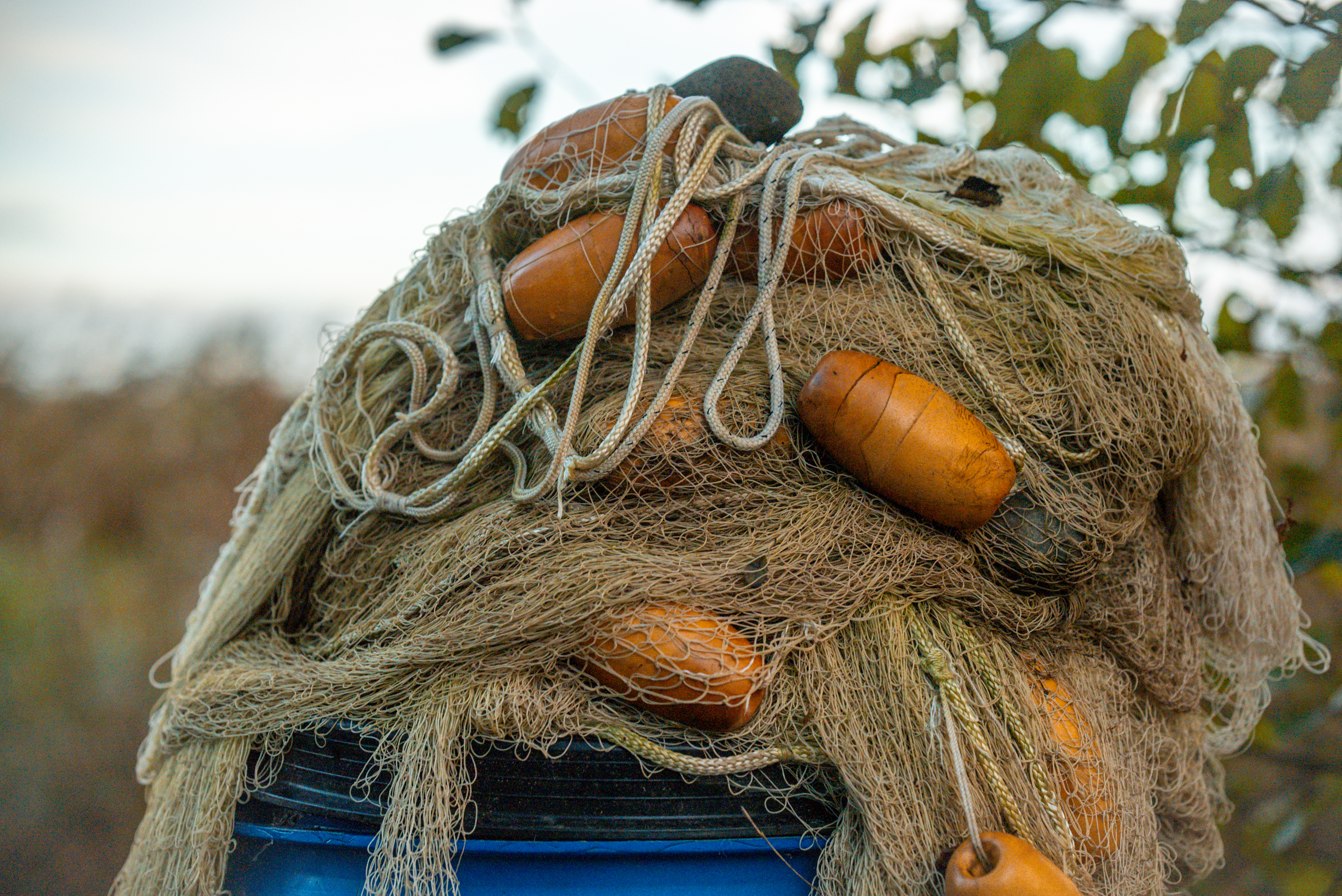 [Neill O'Higgins/Al Jazeera]