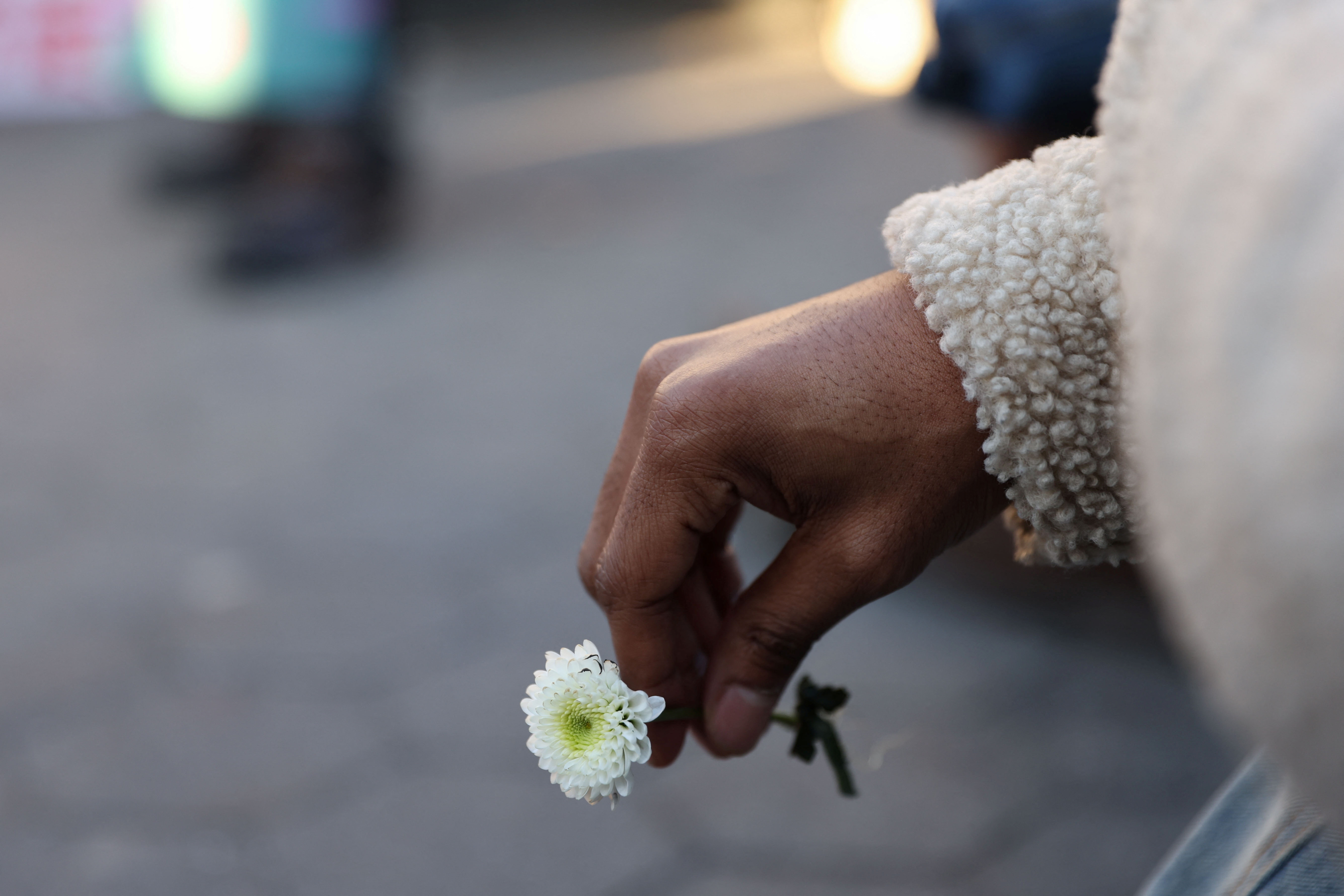 A person holds a flower