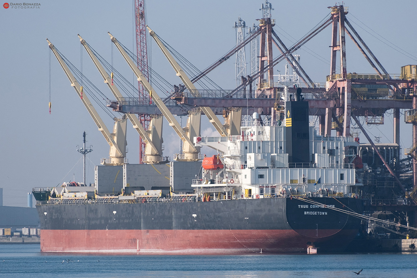 A view shows Barbados-flagged bulk carrier vessel True Confidence, in Ravenna, Italy March 10, 2022