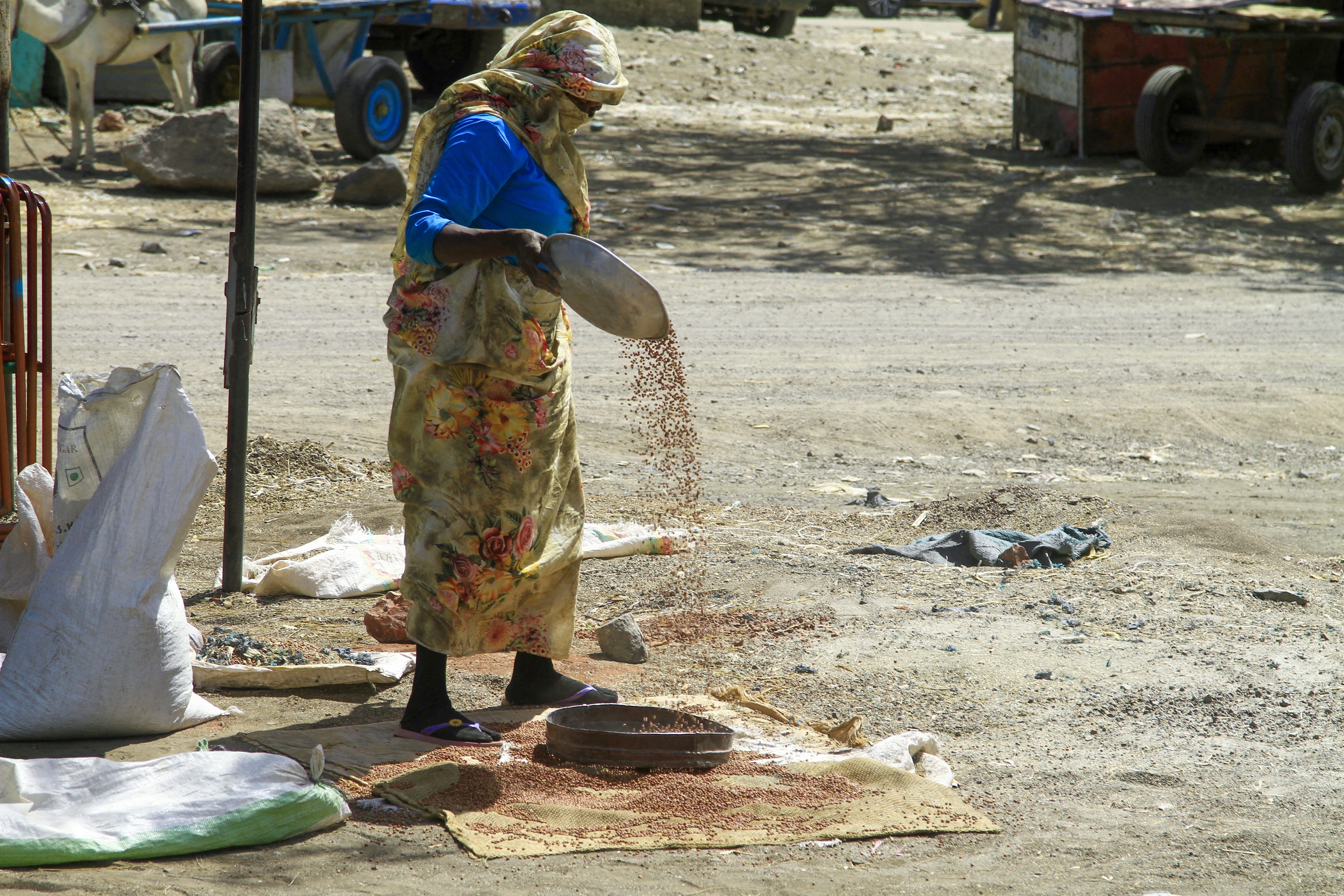 A woman sorts grains at a market in Gedaref, eastern Sudan