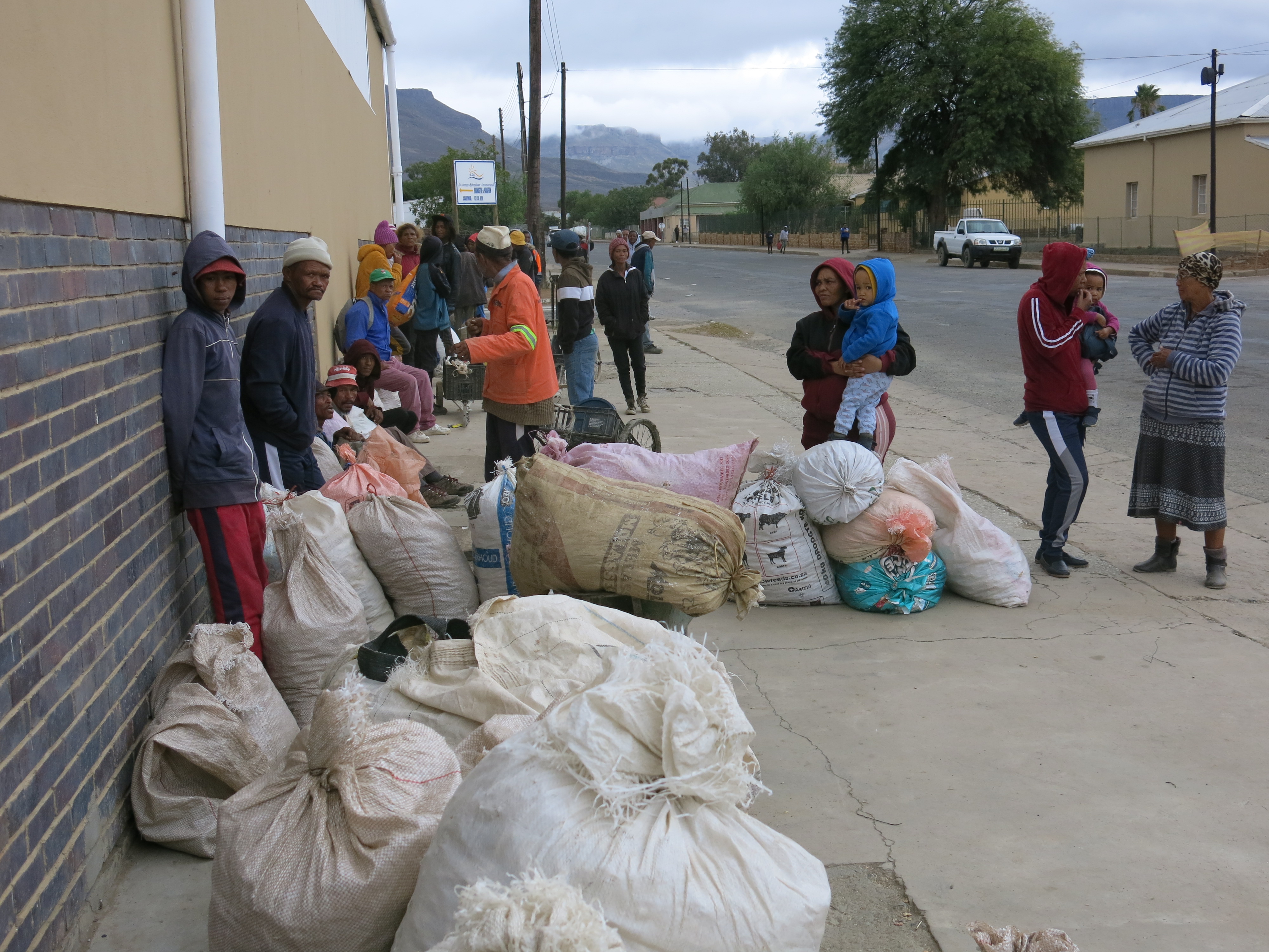 People wait to sell their seedpods to Coetzee