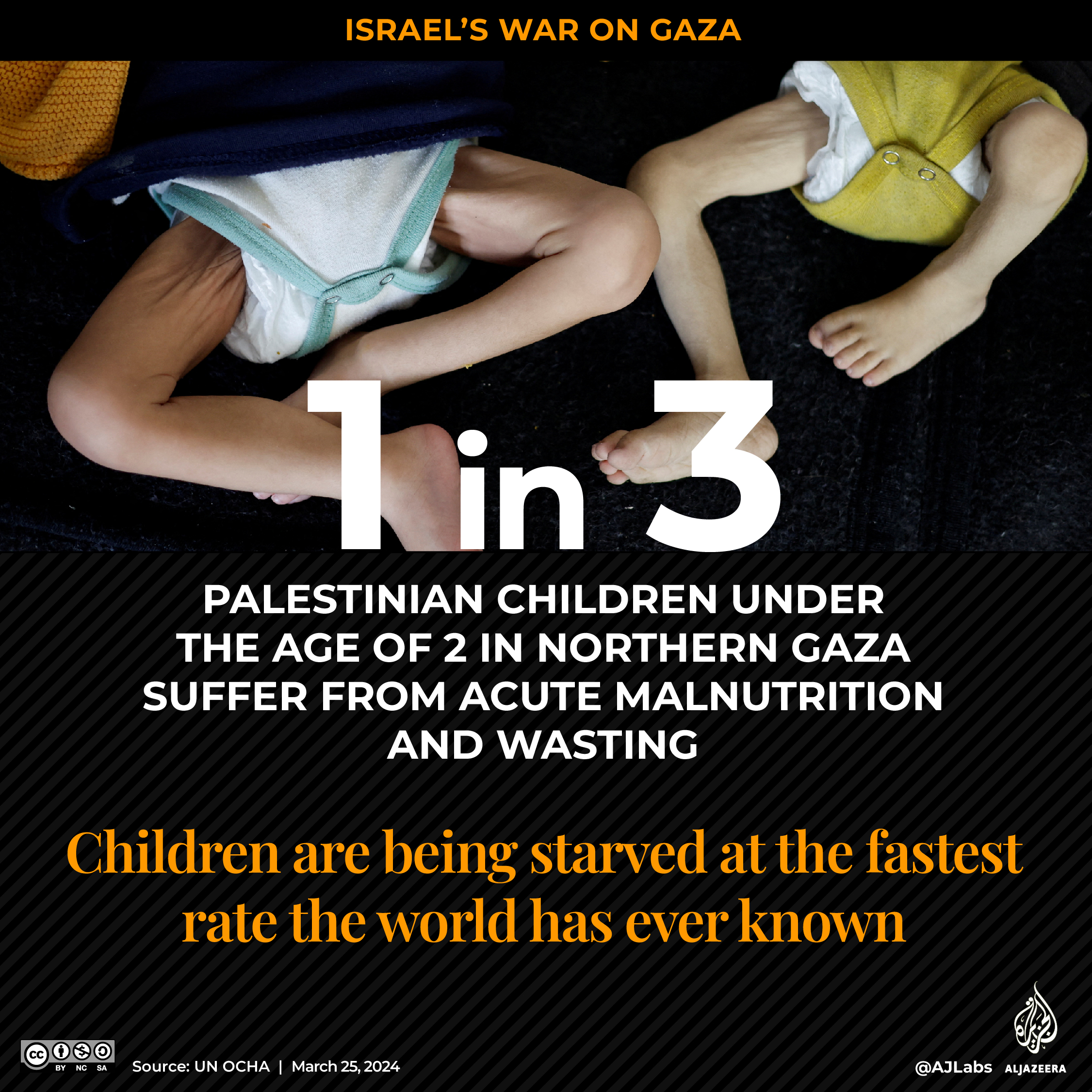 Interactive_Hunger-Gaza