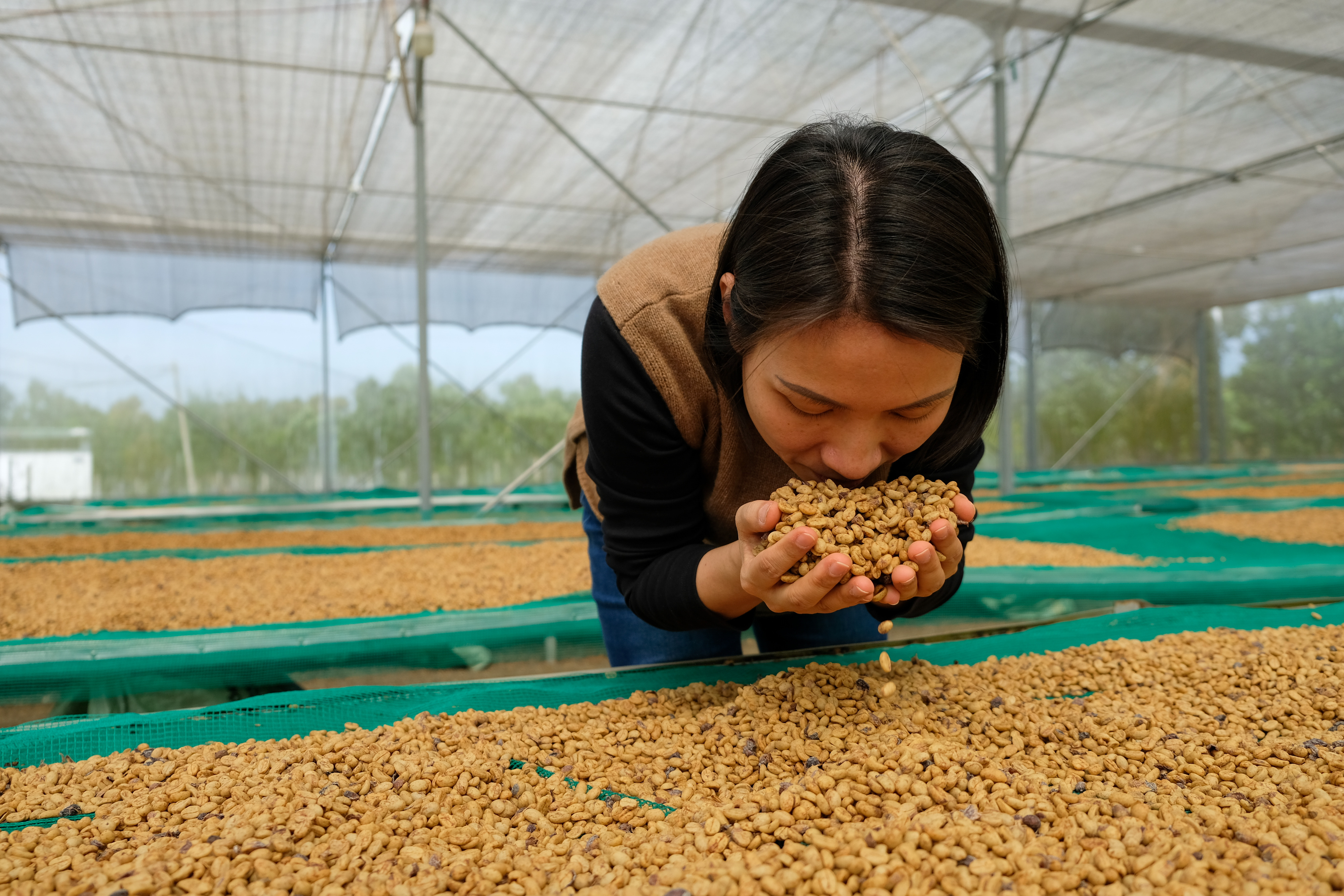 Anh Nguyen Tu from Aeroco farm