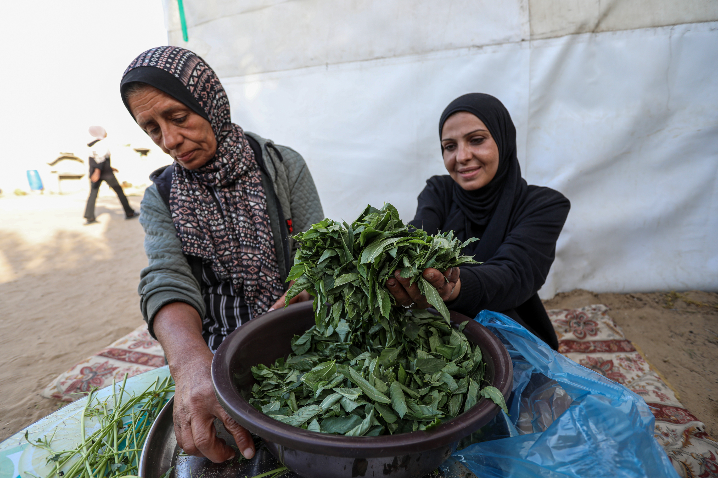Siham holds up a handful of molokhia leaves, smiling