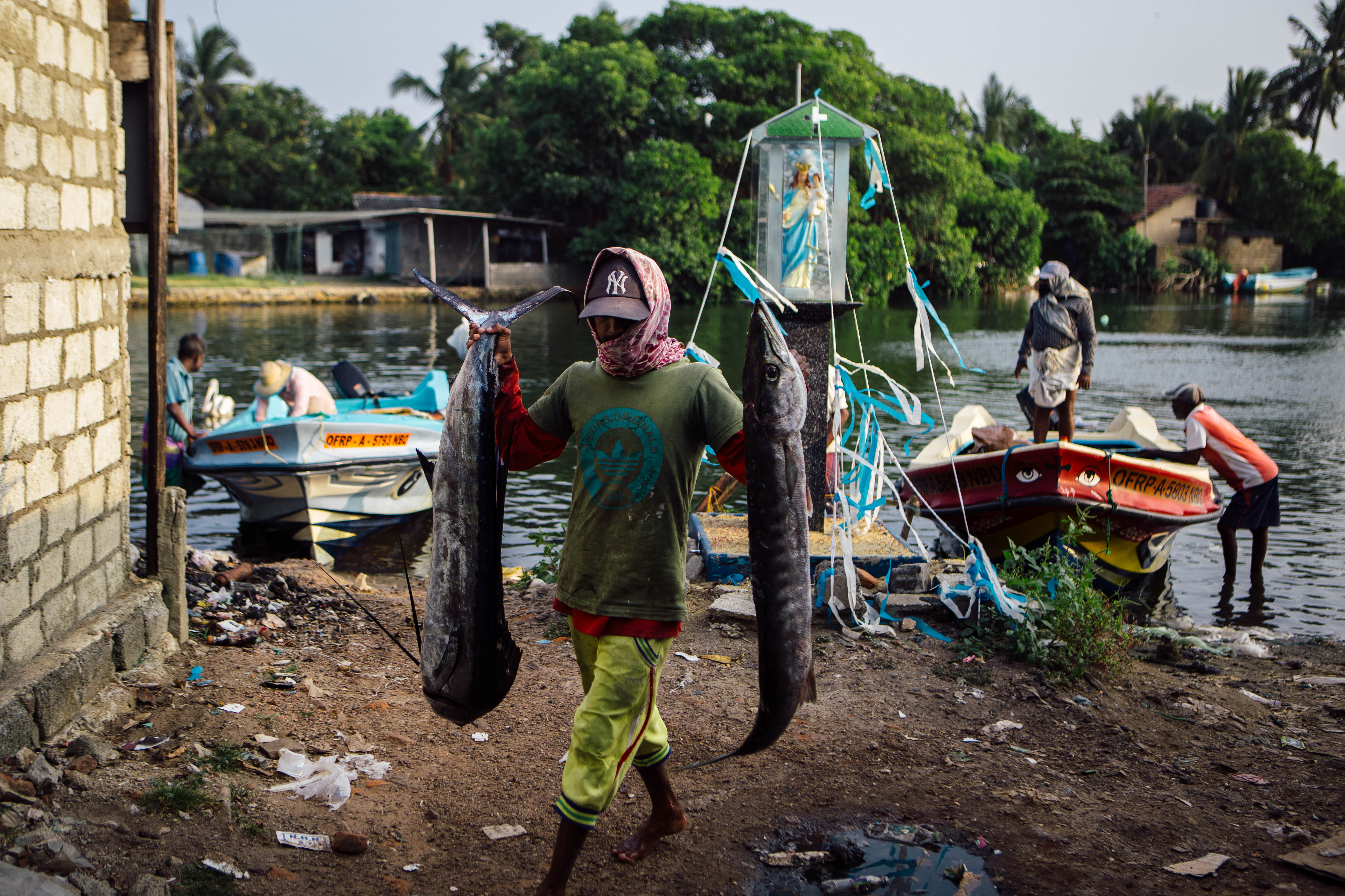 Sri Lanka kidney disease
