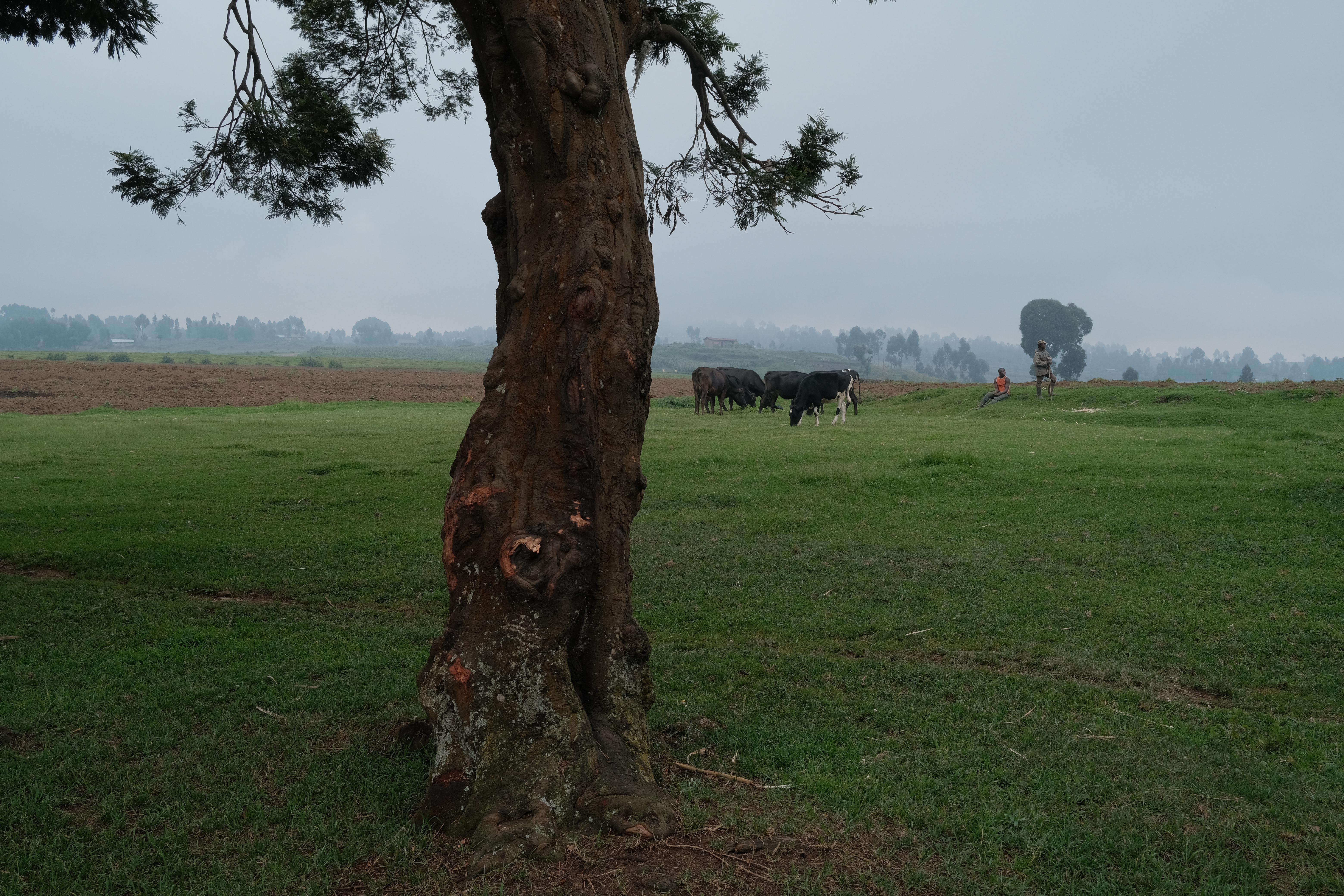 Images of Rwanda, 25 years after the 1994 genocide