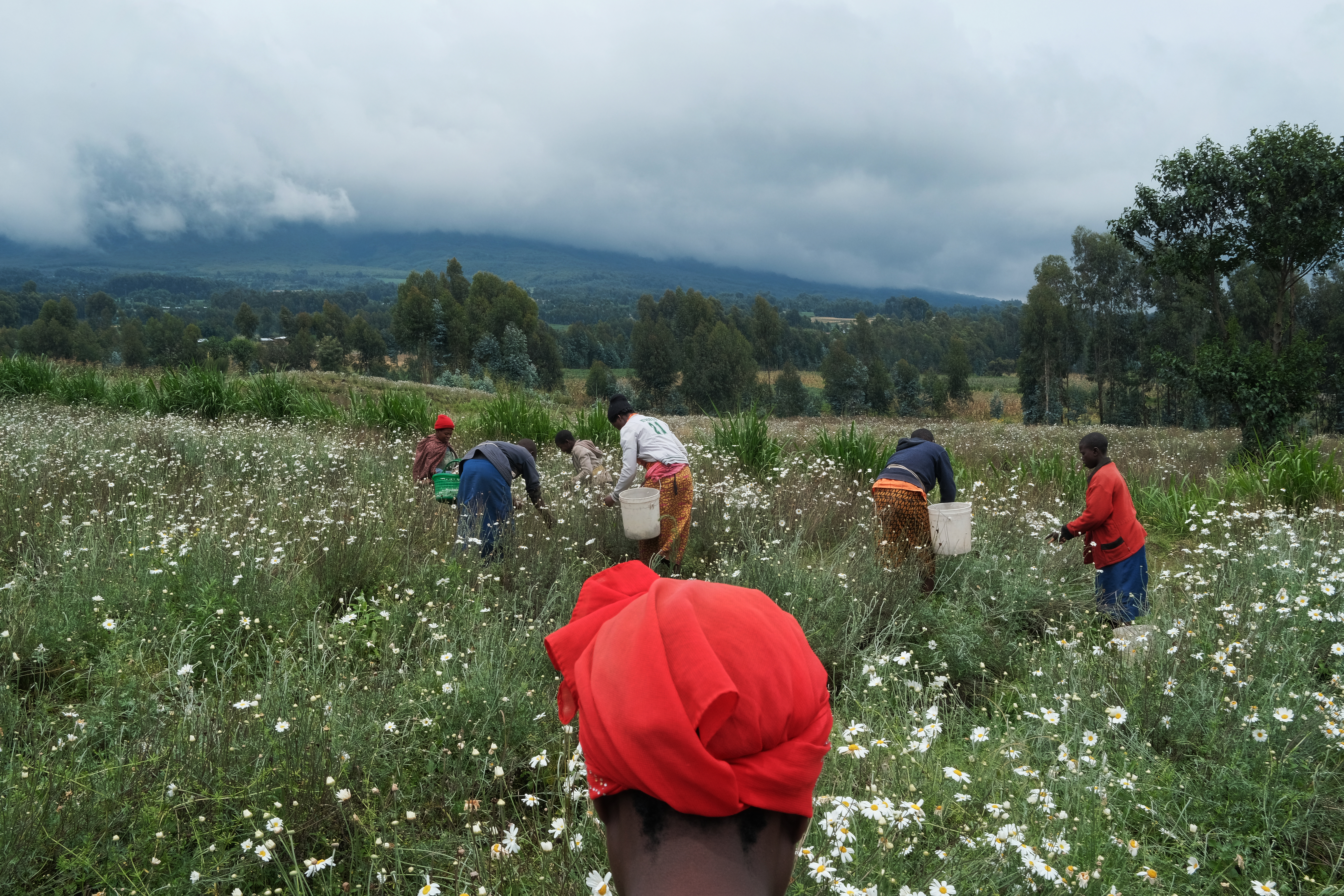 Images of Rwanda, 25 years after the 1994 genocide