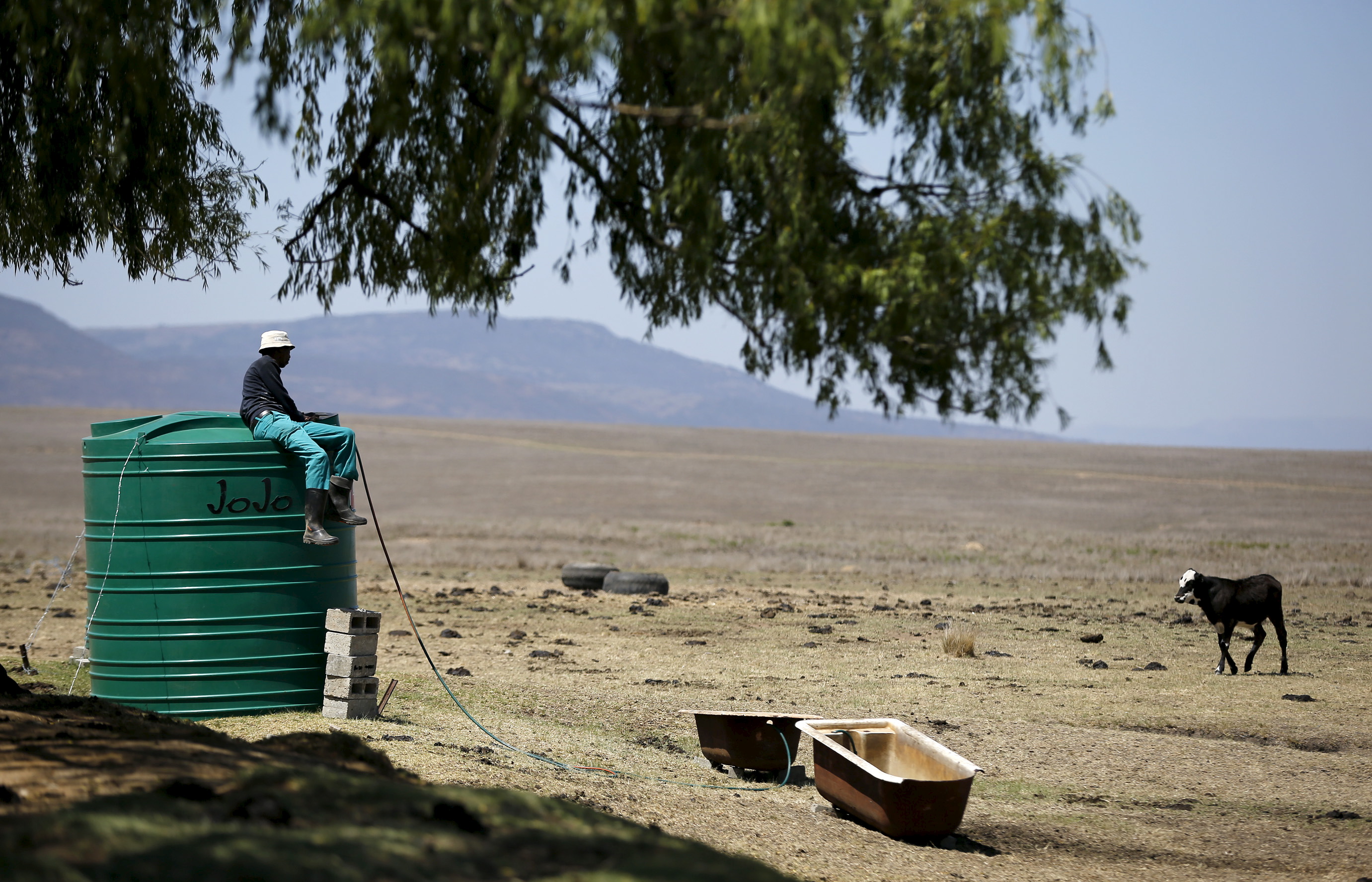 A farm worker in South Africa