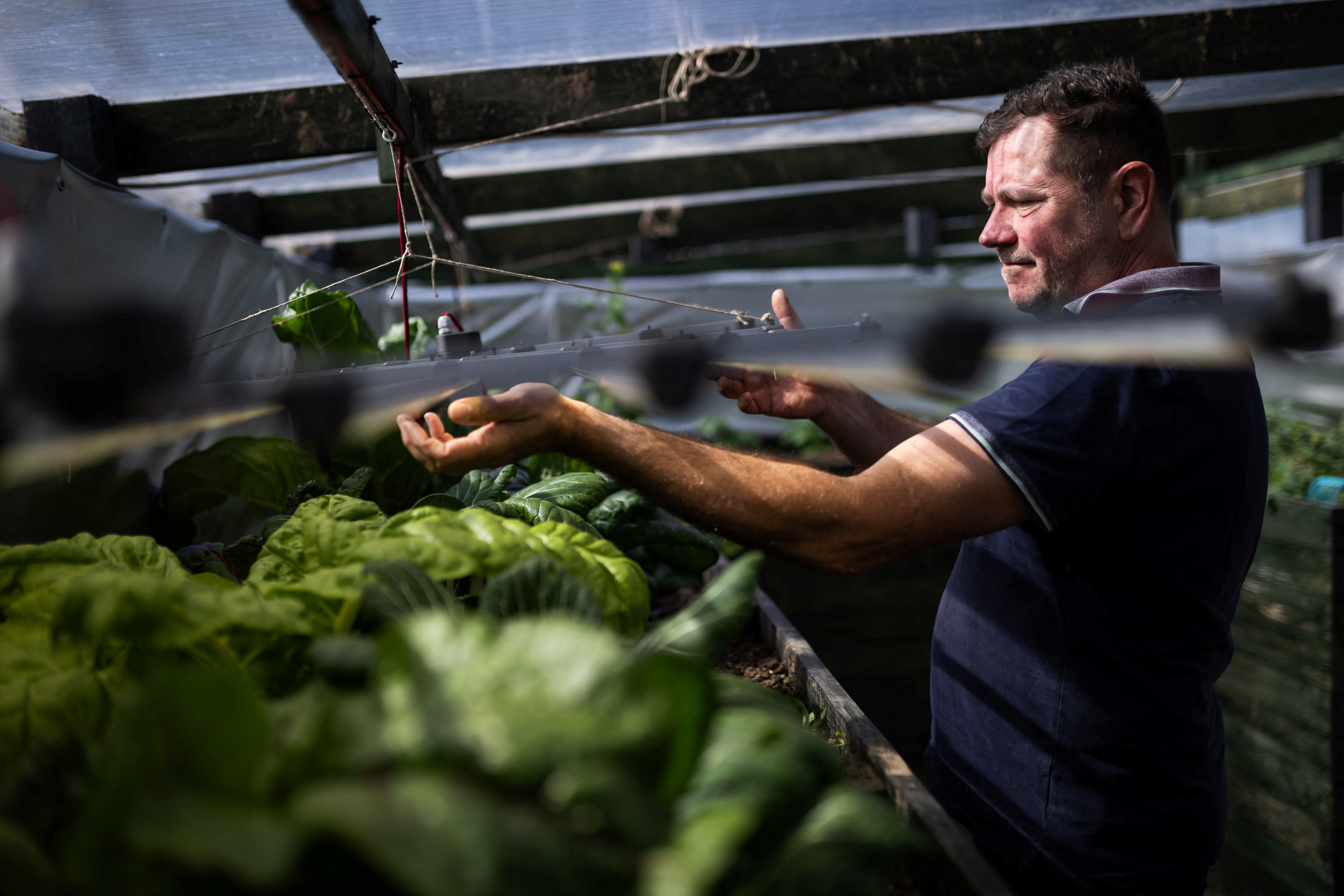 Akos Varga checks the light system above the vegetables in his underground greenhouse, at his farm in Nagybereny, Hungary, March 26