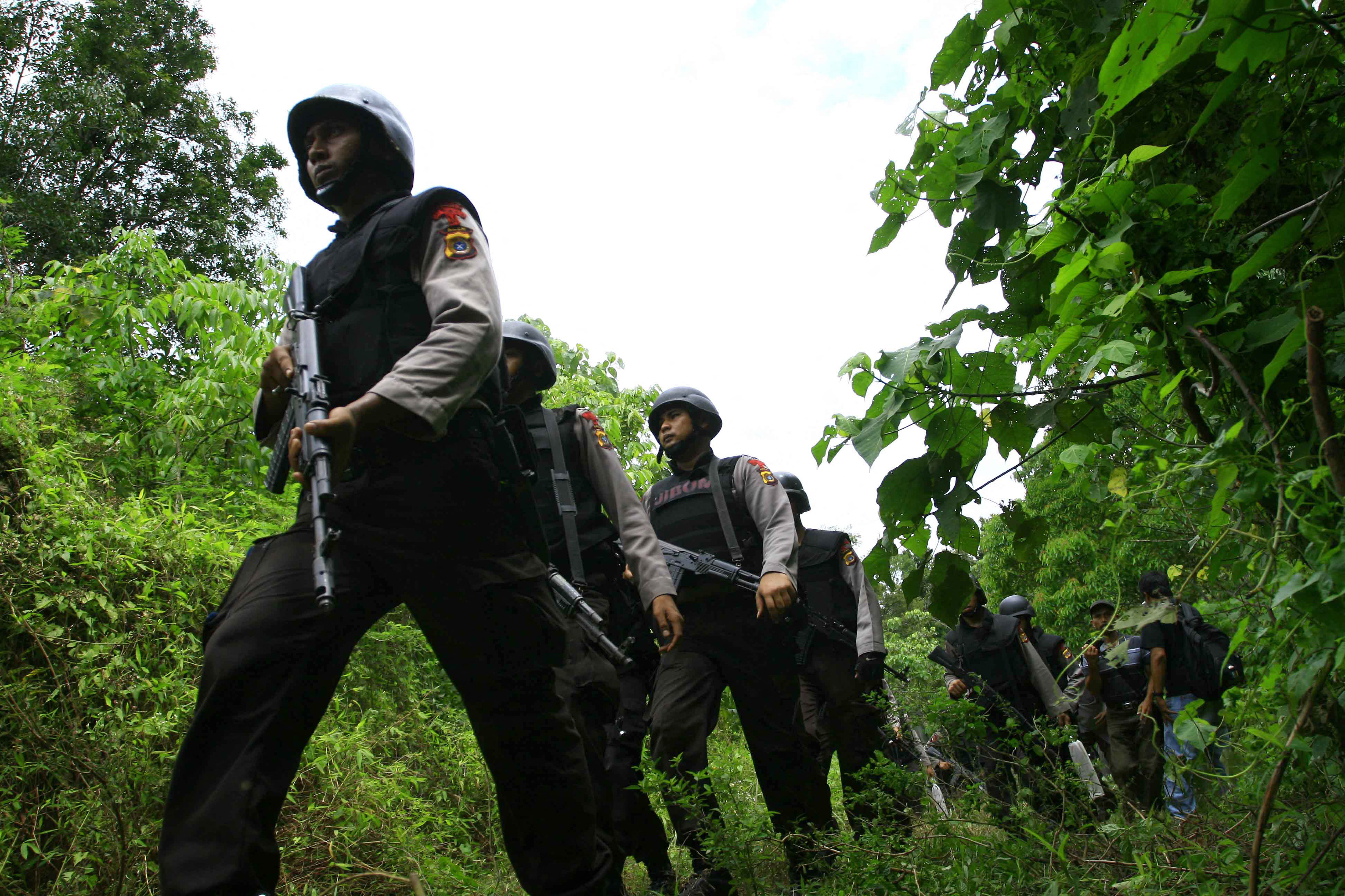 Soldiers walking through the jungle in Indonesia. They are armed. There is dense foliage around.