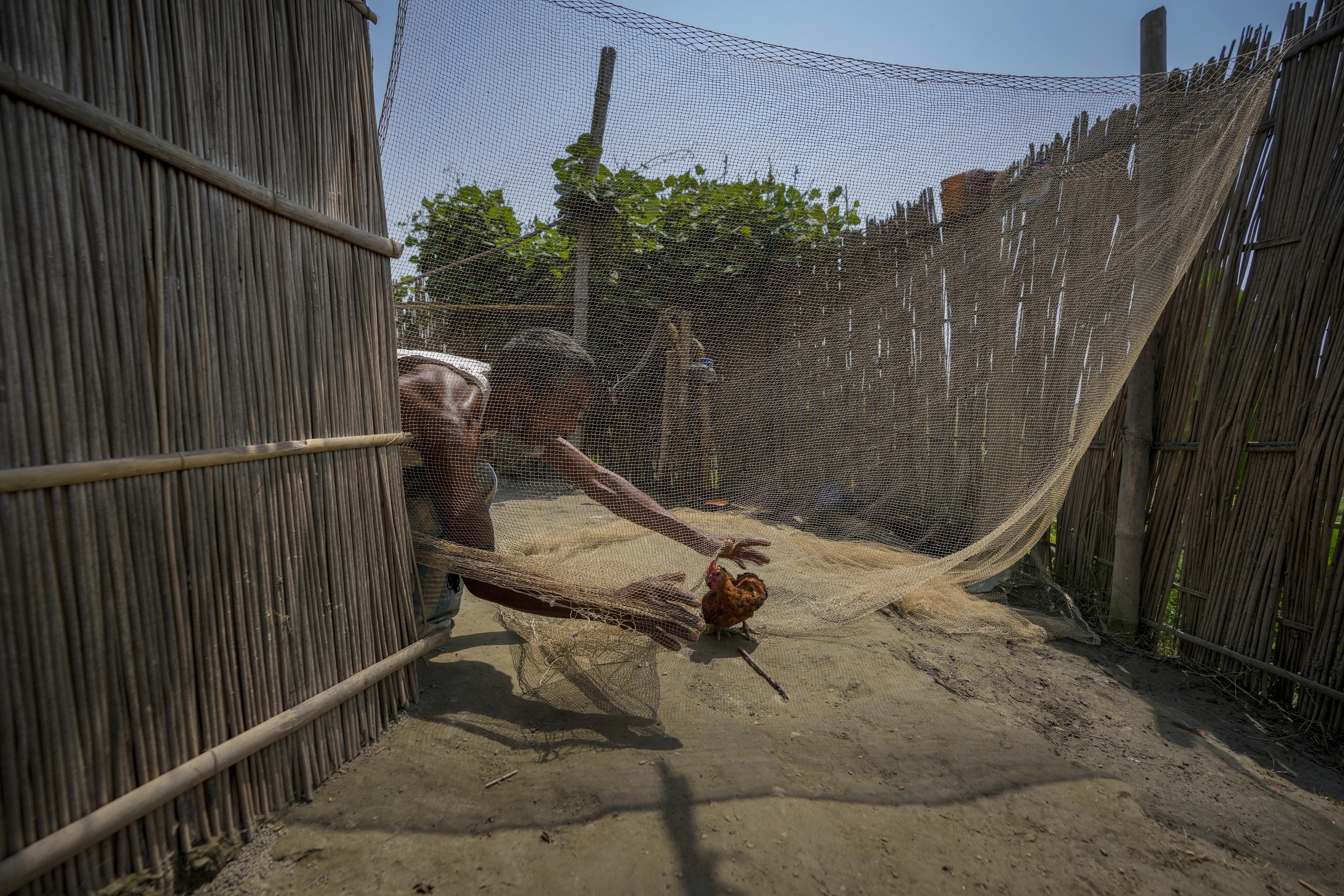 India's river islanders return home in between floods