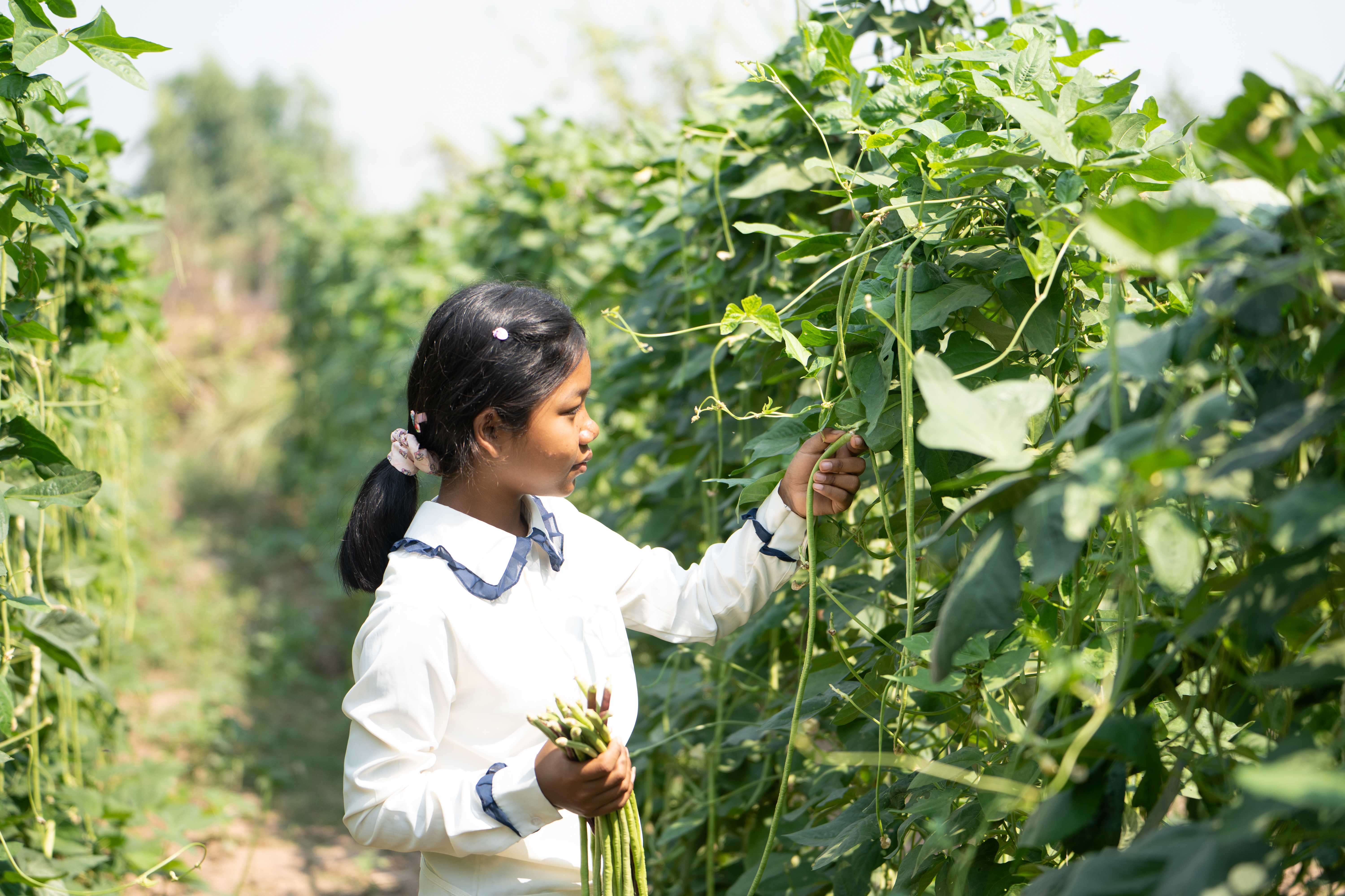Teenager Seila, pictured here picking yard long beans, learned about periods from different sources, including watching videos and reading posts online, as well as from her grandmother. “I feel comfortable discussing menstruation with my close friends, but I haven’t discussed menstruation with any male family members or friends yet. I feel embarrassed about it.”