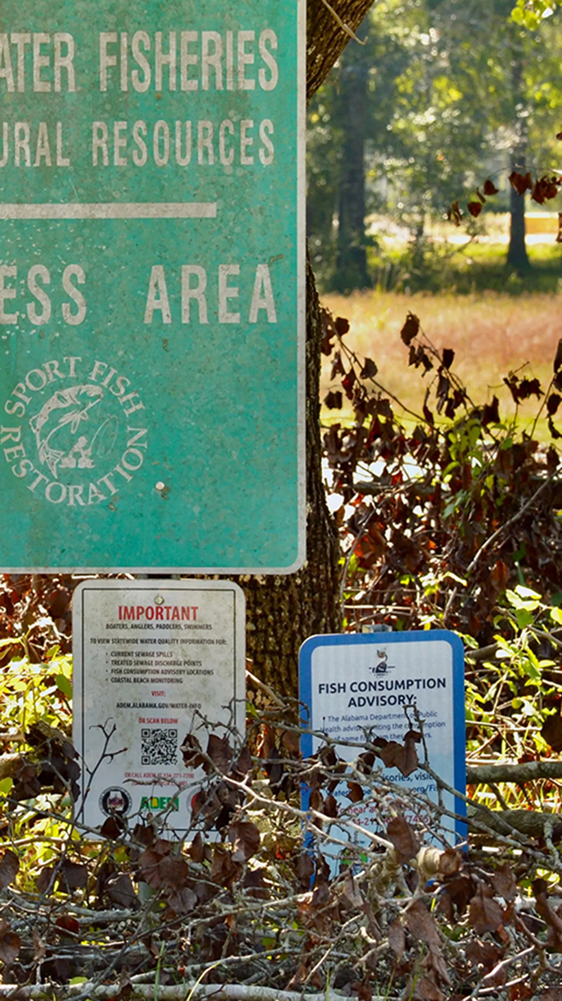A small sign (bottom right) warns of the dangers of consuming fish from the river [Elizabeth DeRamus/Al Jazeera]