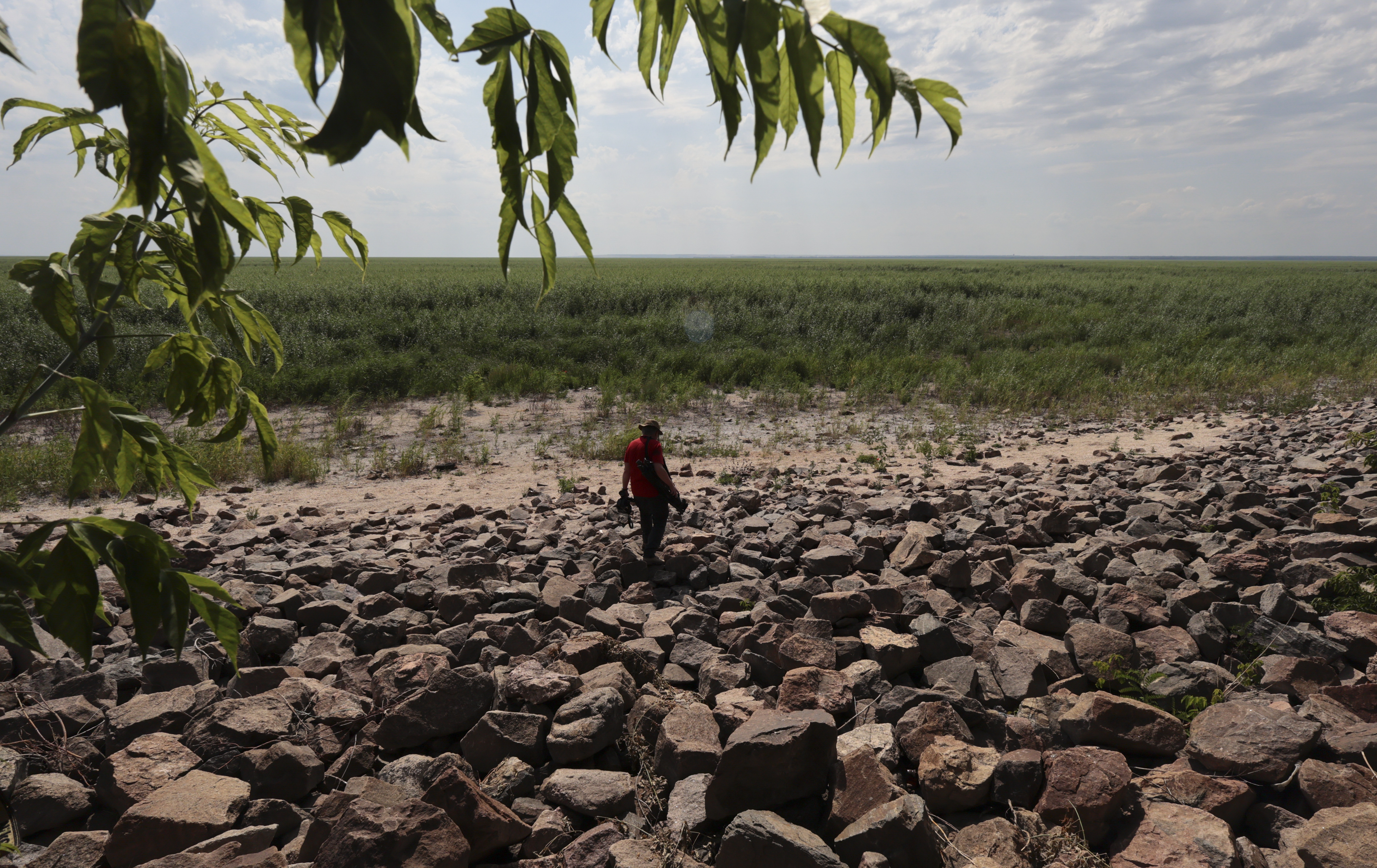 A man on the muddy shore of ormer Kakhovka reservoir near the village of Malokaterinivka. What was a lake is now full of green grasses and vegetation.