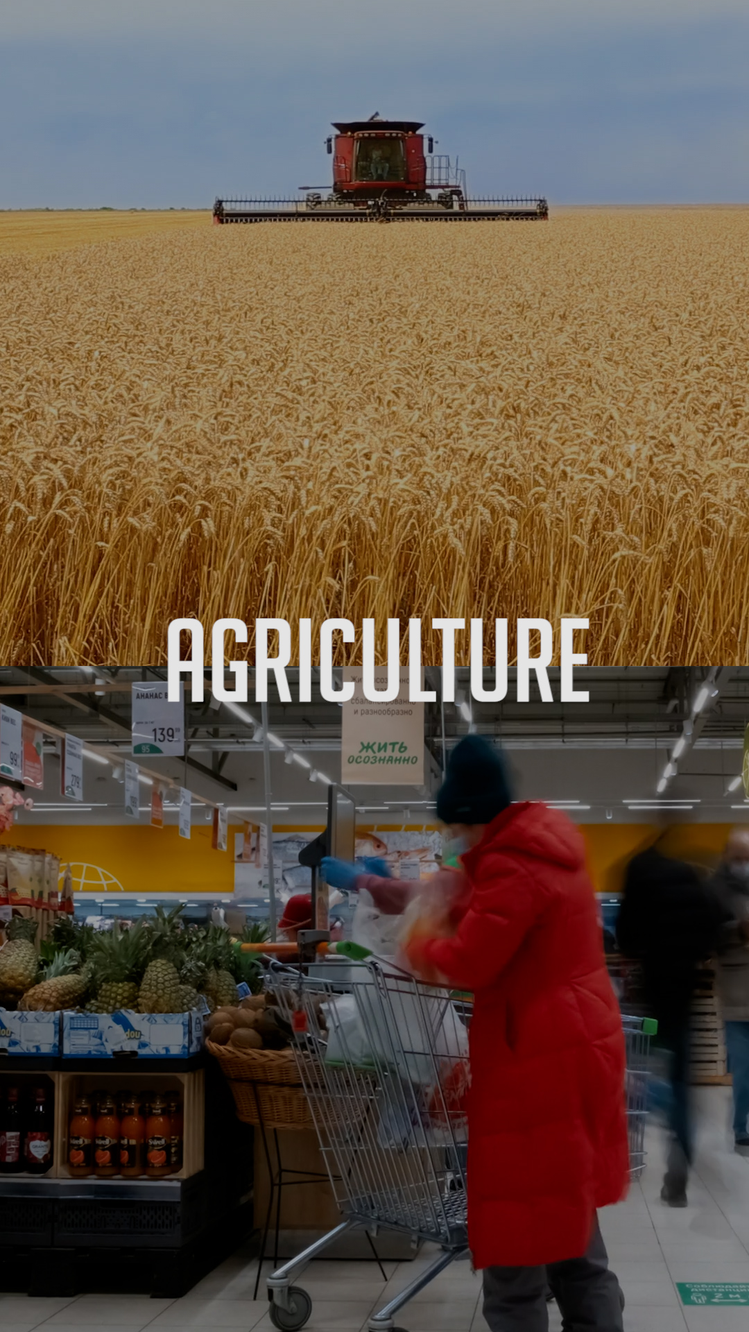 Agriculture - vertical for mobile-1721055329