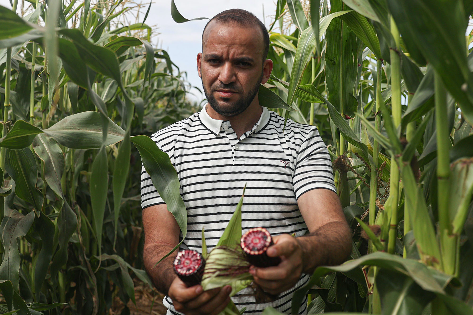 Mohammed Abu Ziyadah holds red-colored corns with seeds he brought from abroad [Mustafa Hassona/Anadolu Agency via Getty Images]