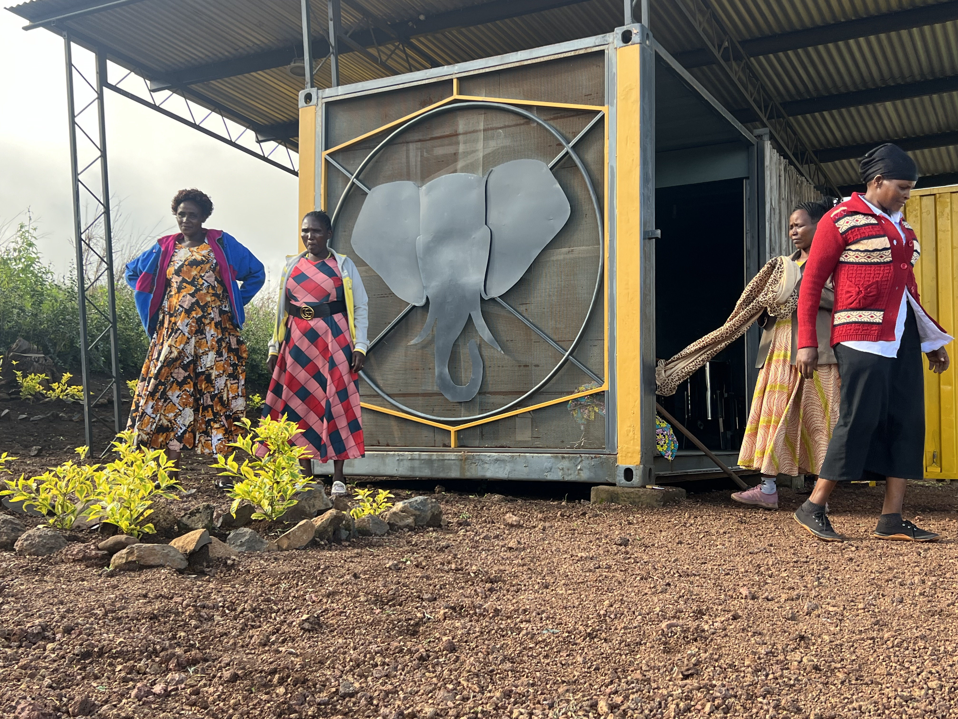 Women of a honey collective meet at their hub