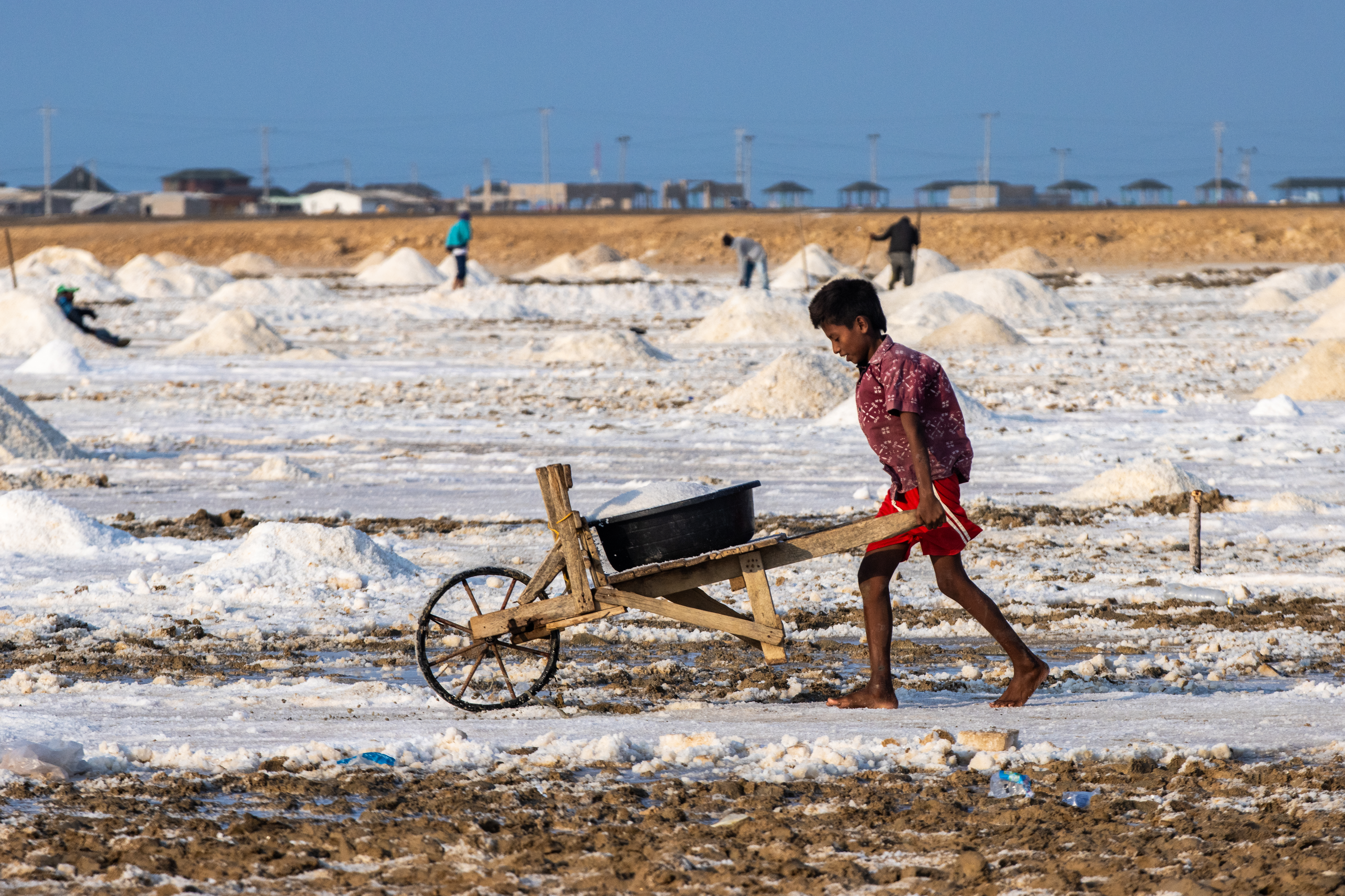 A boy pushes a wooden cart across a salt field.