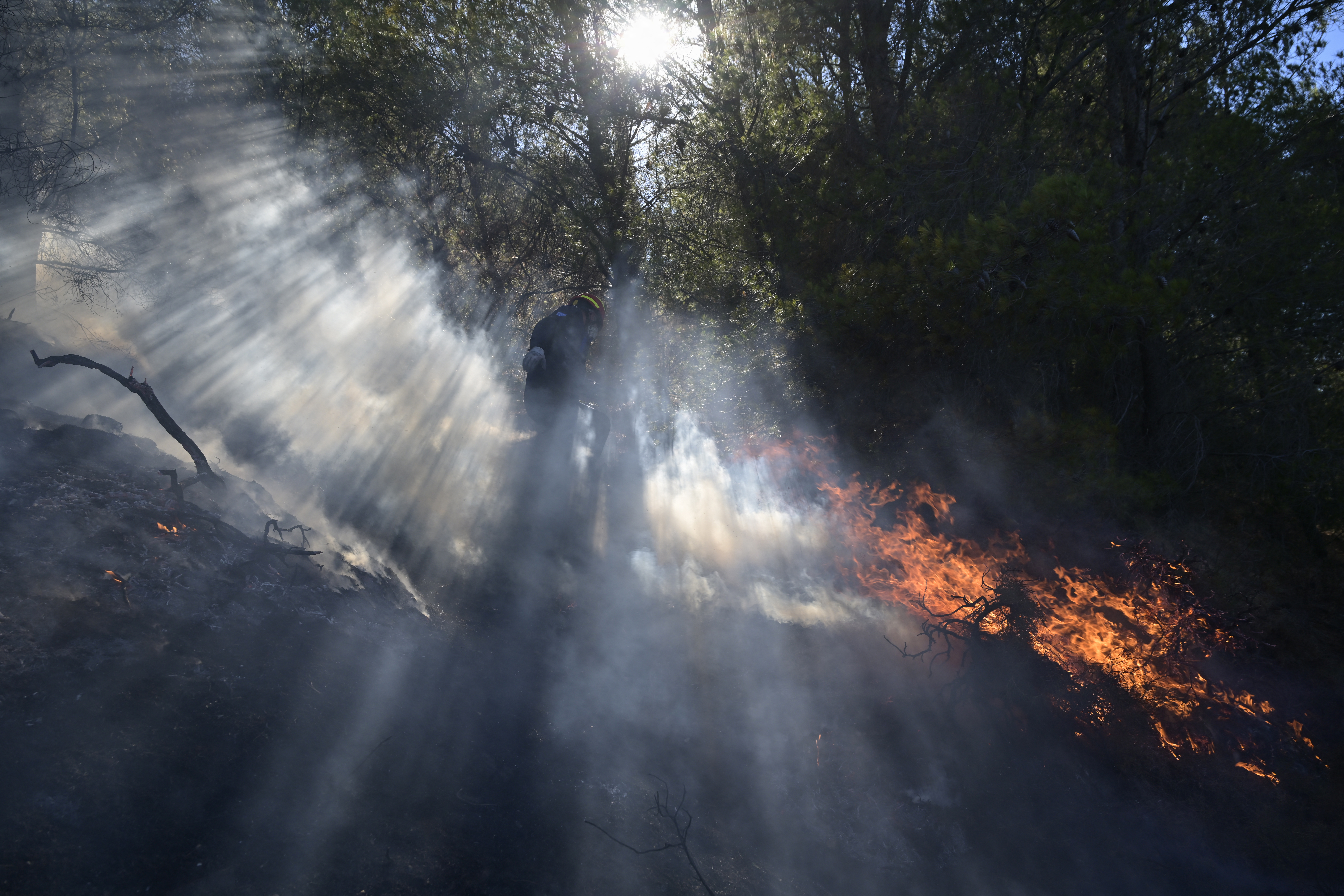 Firefighters were battling a series of wildfires near the Greek capital Athens on Sunday evening
