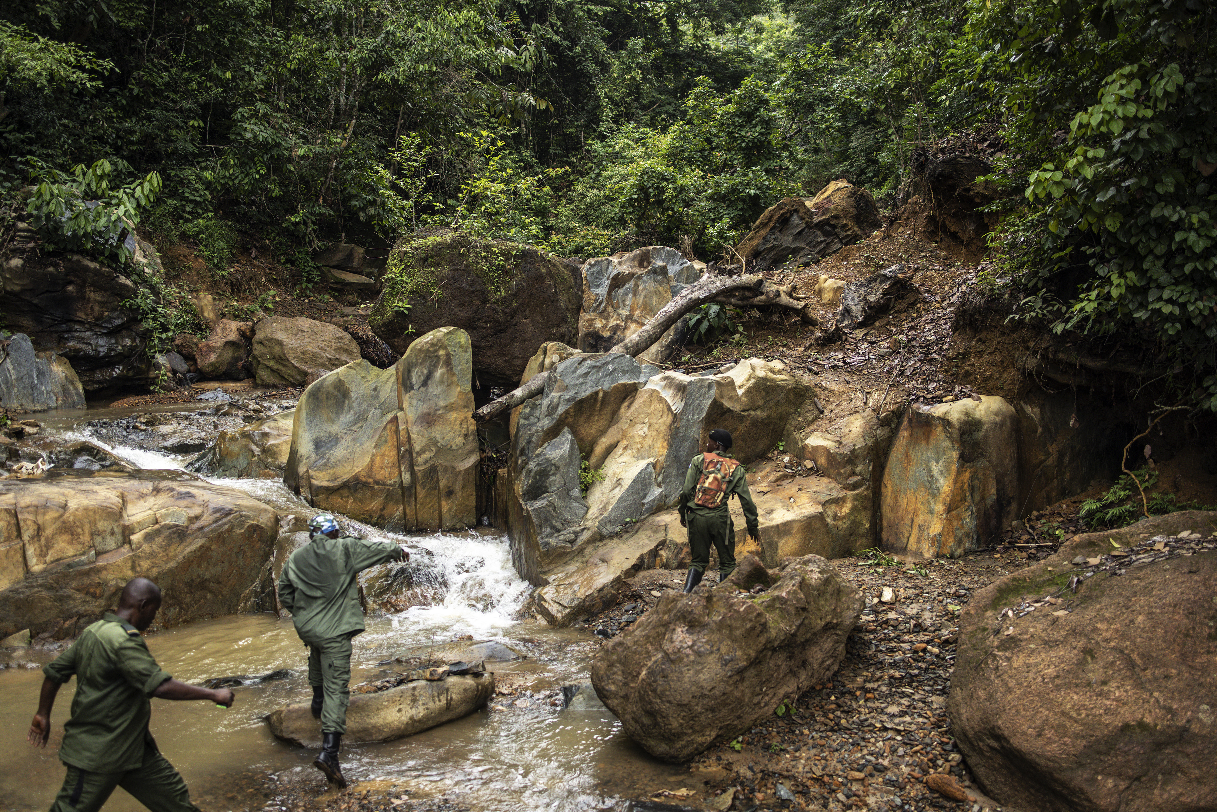 Sierra Leone rangers face a tough fight against deforestation