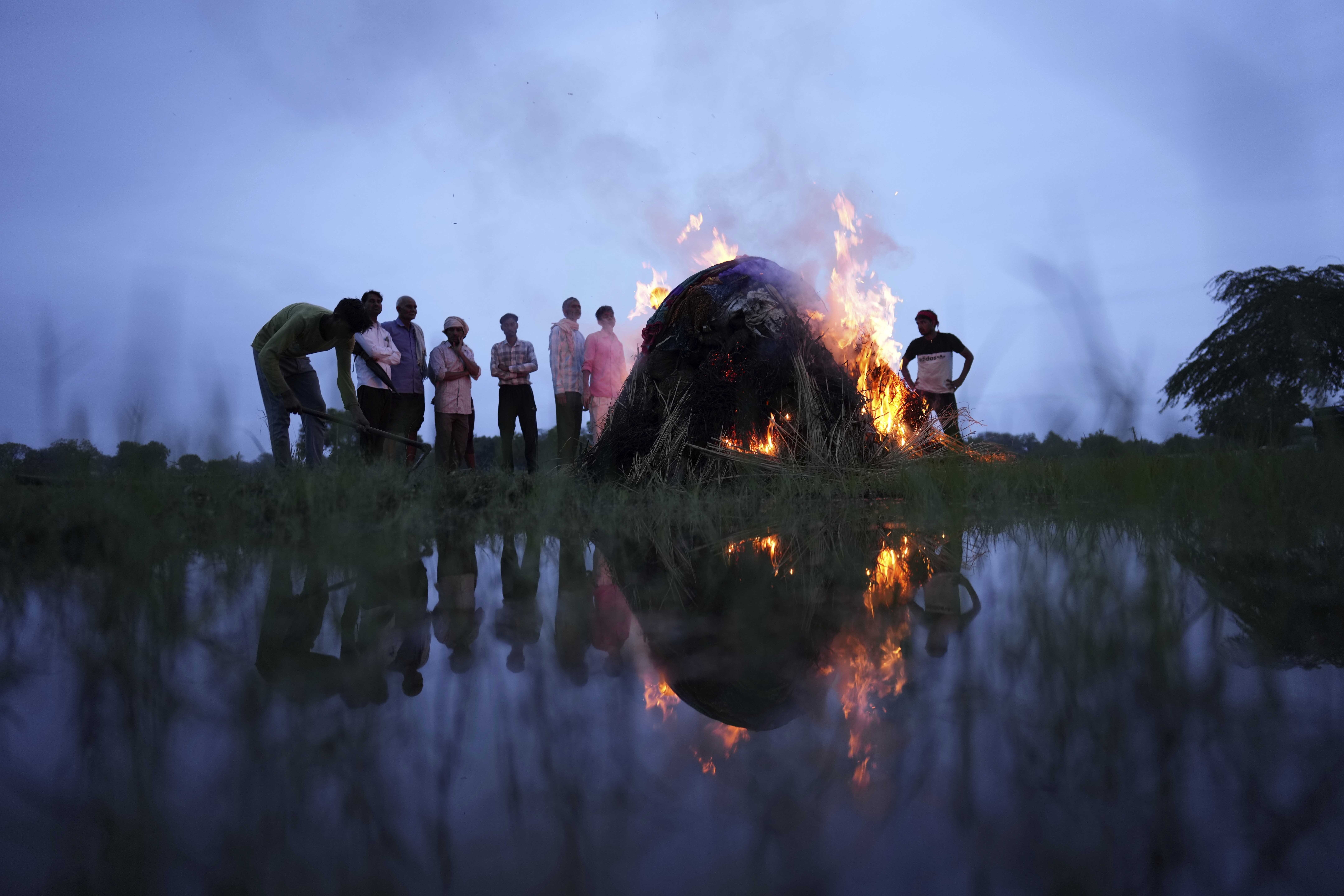 Flames rise from the cremation pyre of Savitri Devi