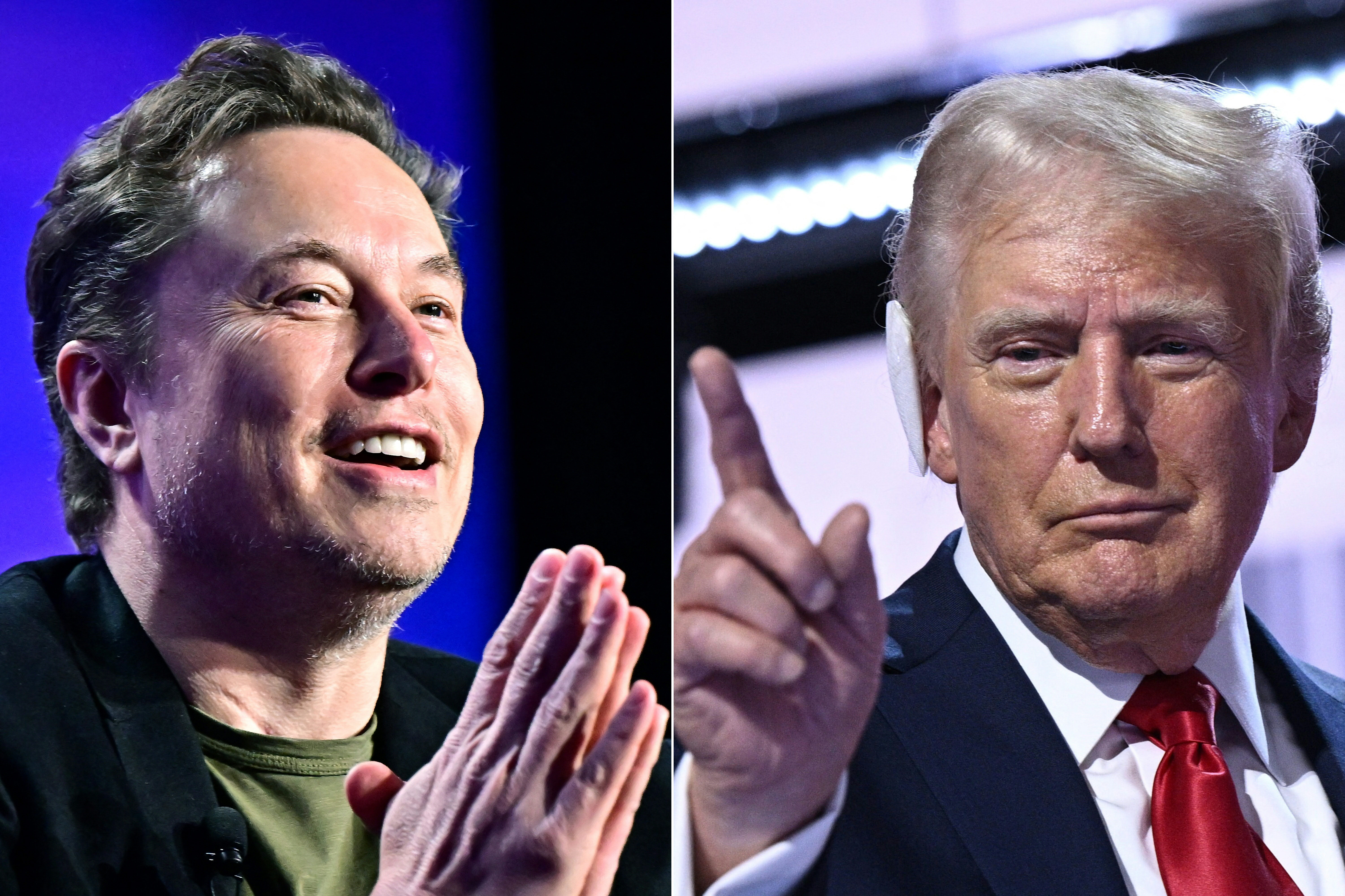 Donald Trump and Elon Musk