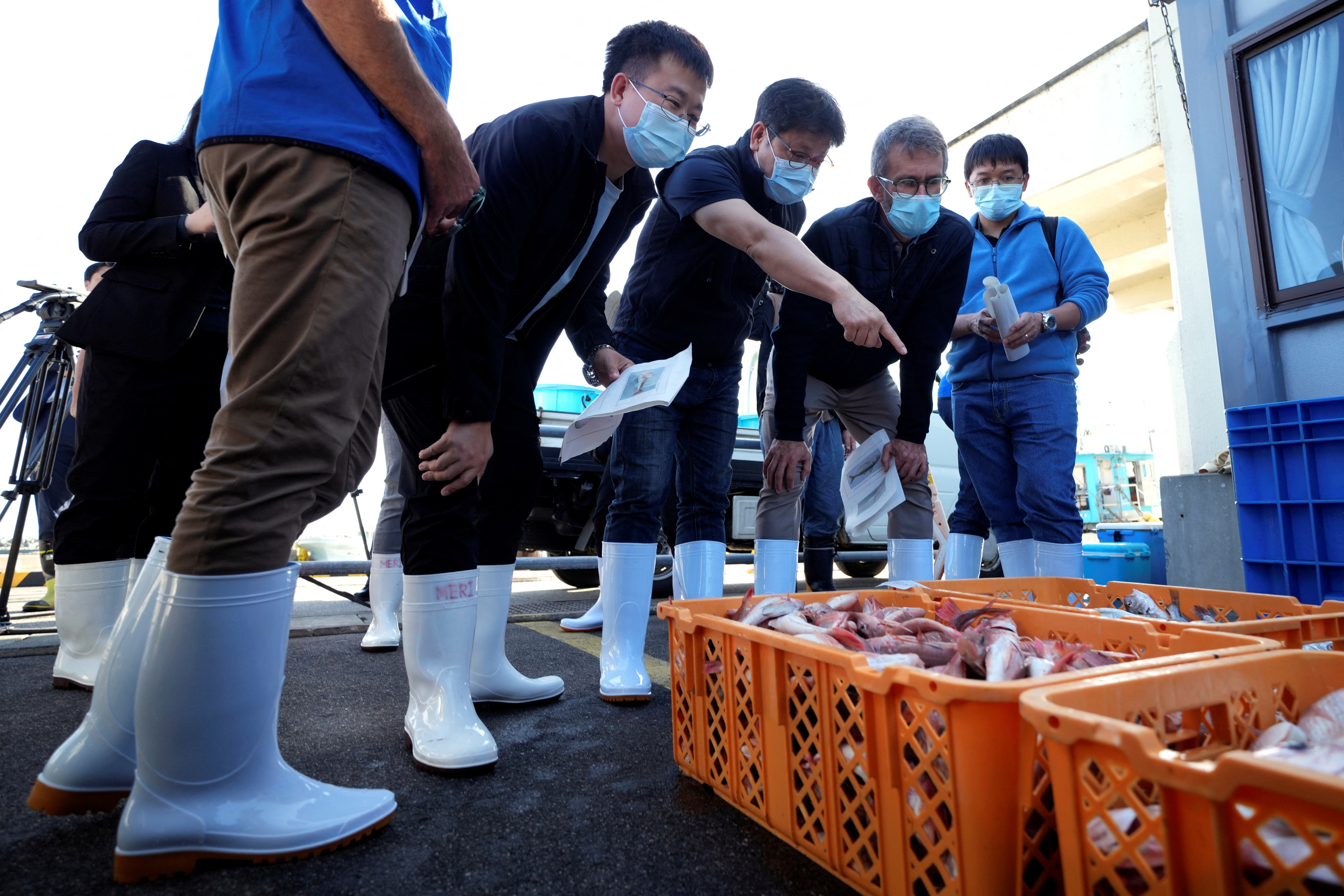 A team of experts from the International Atomic Energy Agency (IAEA) with scientists from China, South Korea and Canada observe the inshore fish as the sample at Hisanohama Port, Thursday, Oct. 19, 2023 in Iwaki, northeastern Japan. Eugene Hoshiko/Pool via REUTERS