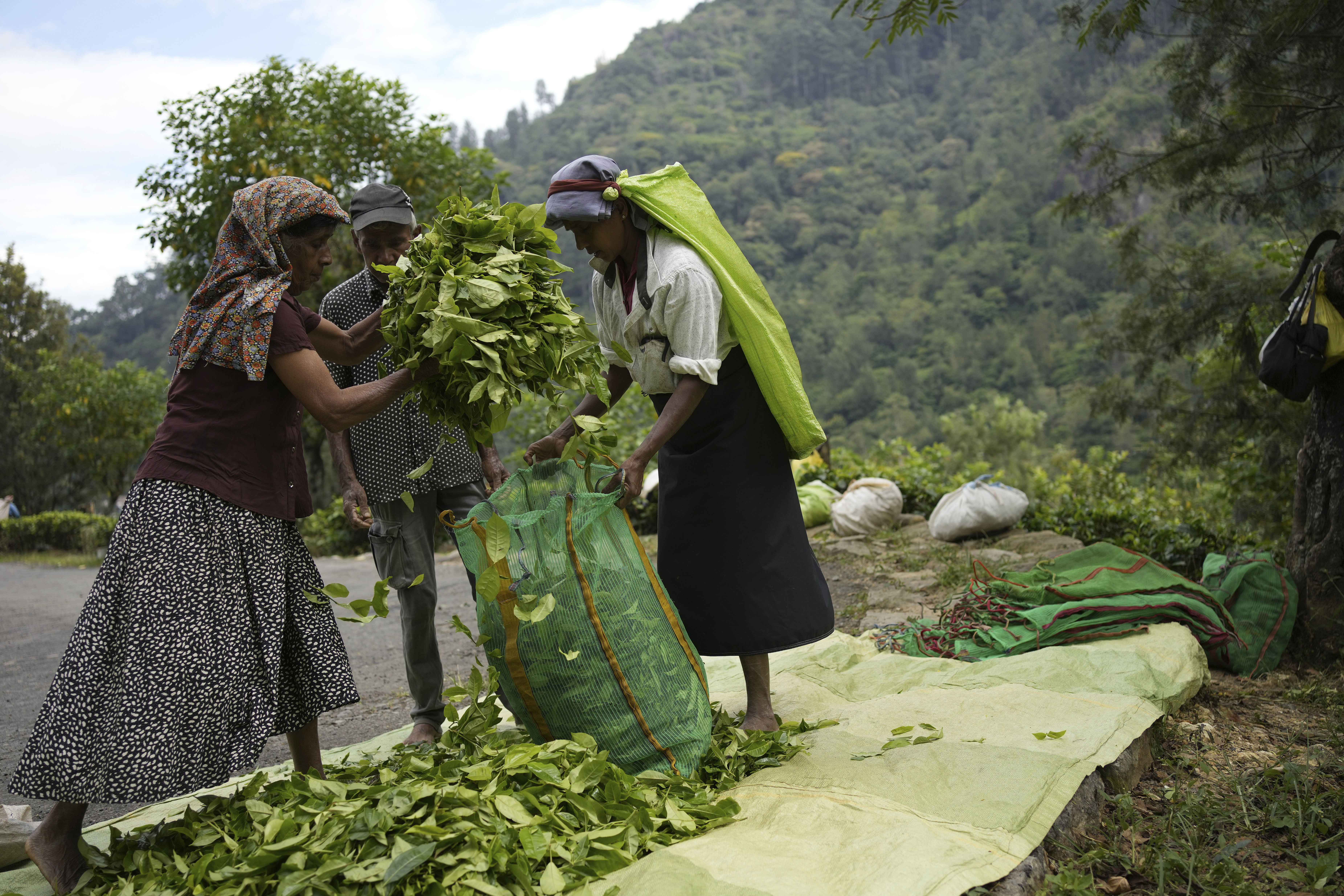 Sri Lanka Election Plantation Workers