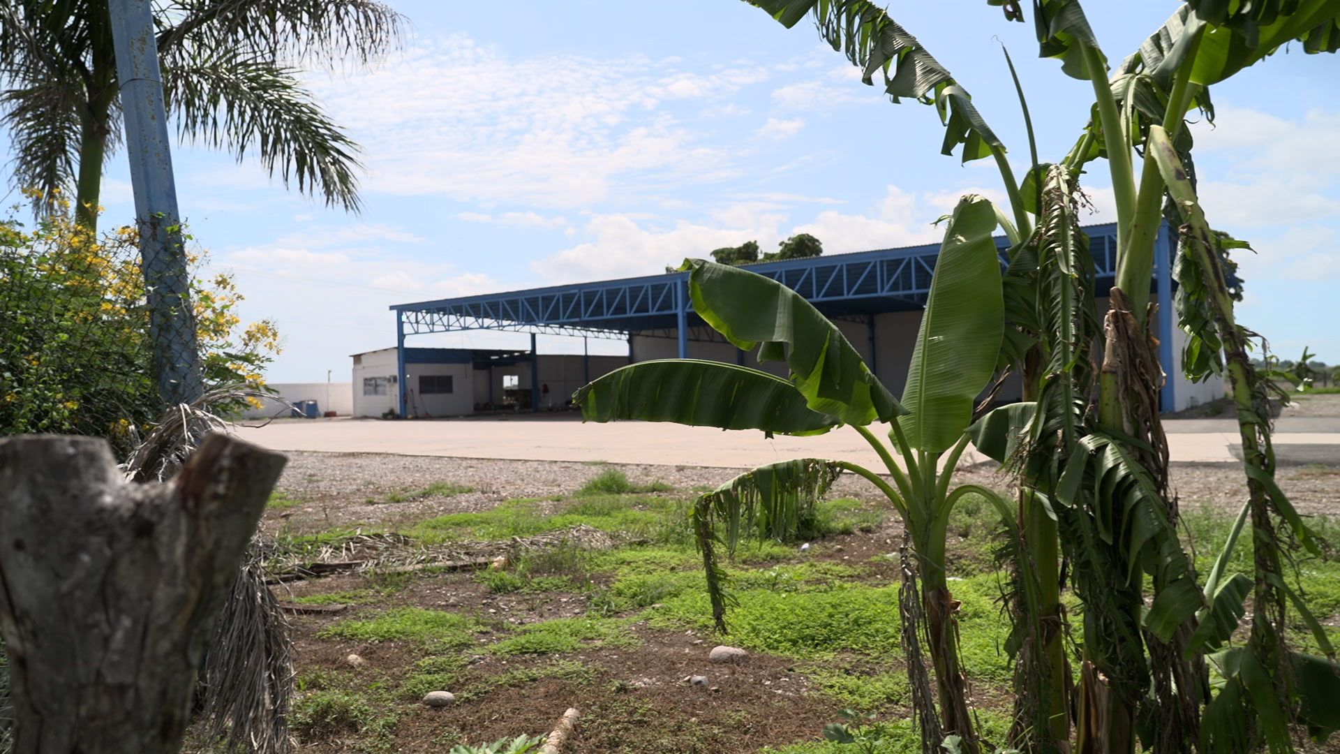The abandoned airstrip in rural Sinaloa, where Ismael Zambada was bundled onto a small plane and flown to the United States. [John Holman/Al Jazeera]