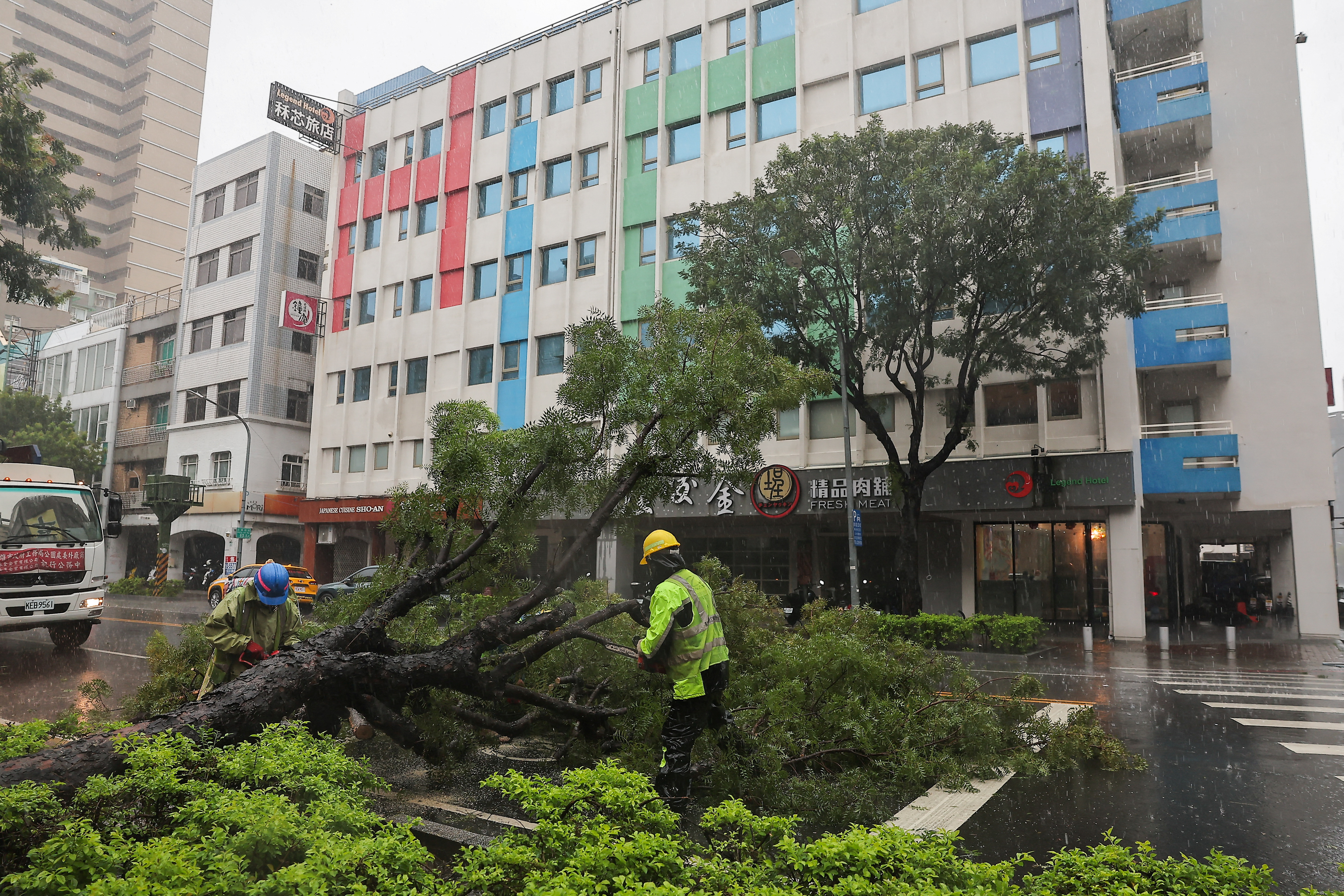 Workers inspect an uprooted tree as Typhoon Krathon approaches, in Kaohsiung, Taiwan October 3