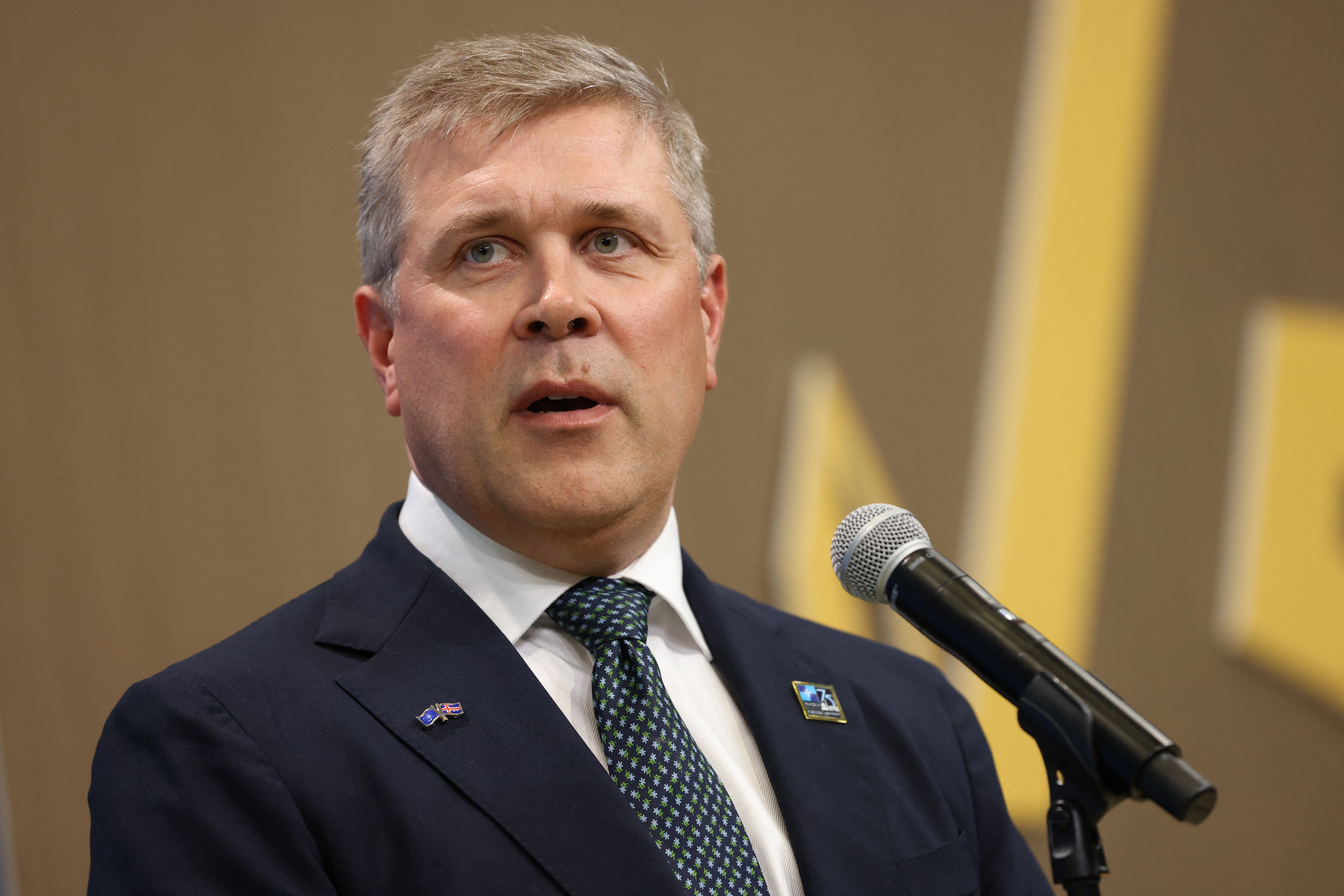 Iceland's Prime Minister Bjarni Benediktsson