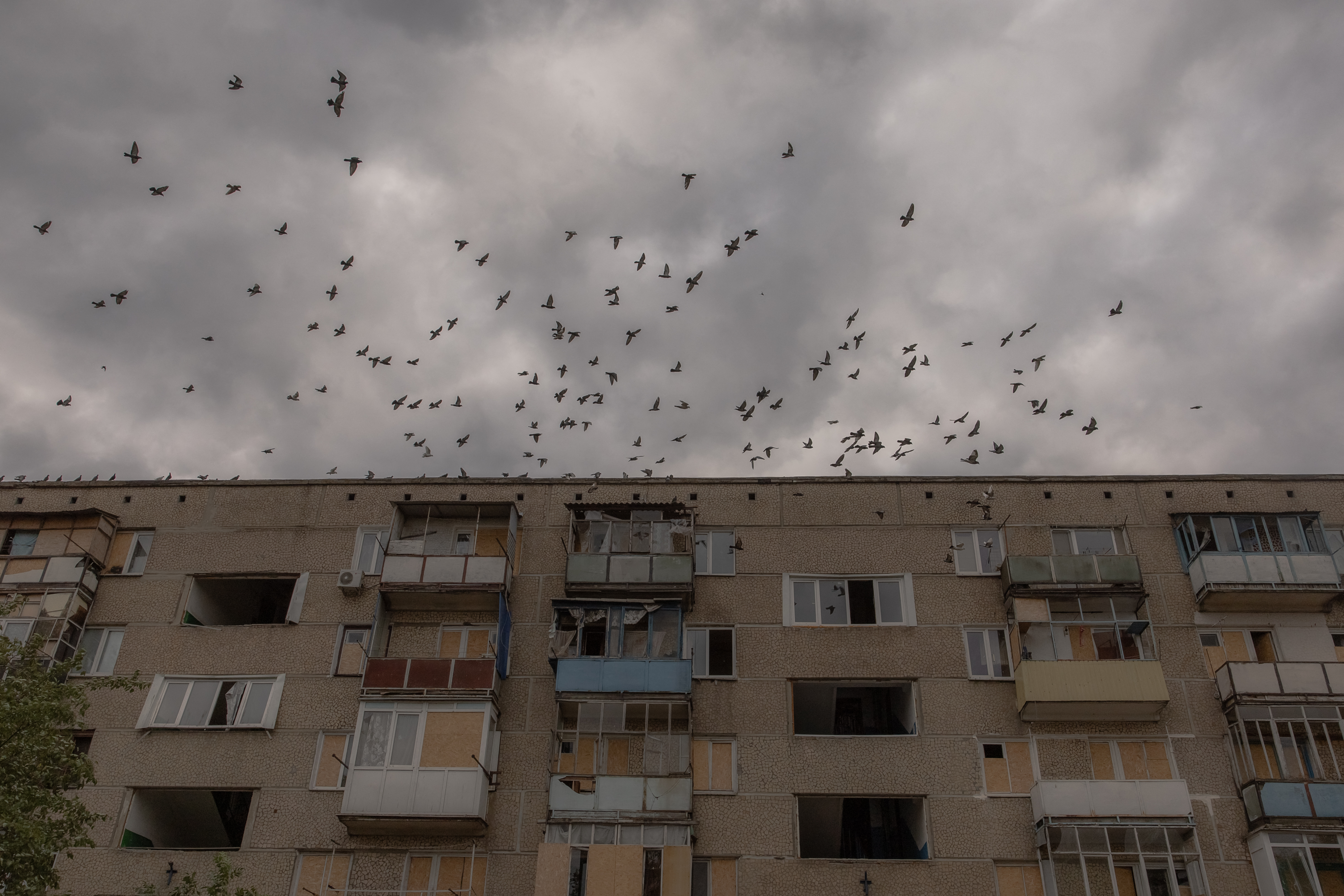 Pigeons flying into a cloudy sky above a damaged apartment building