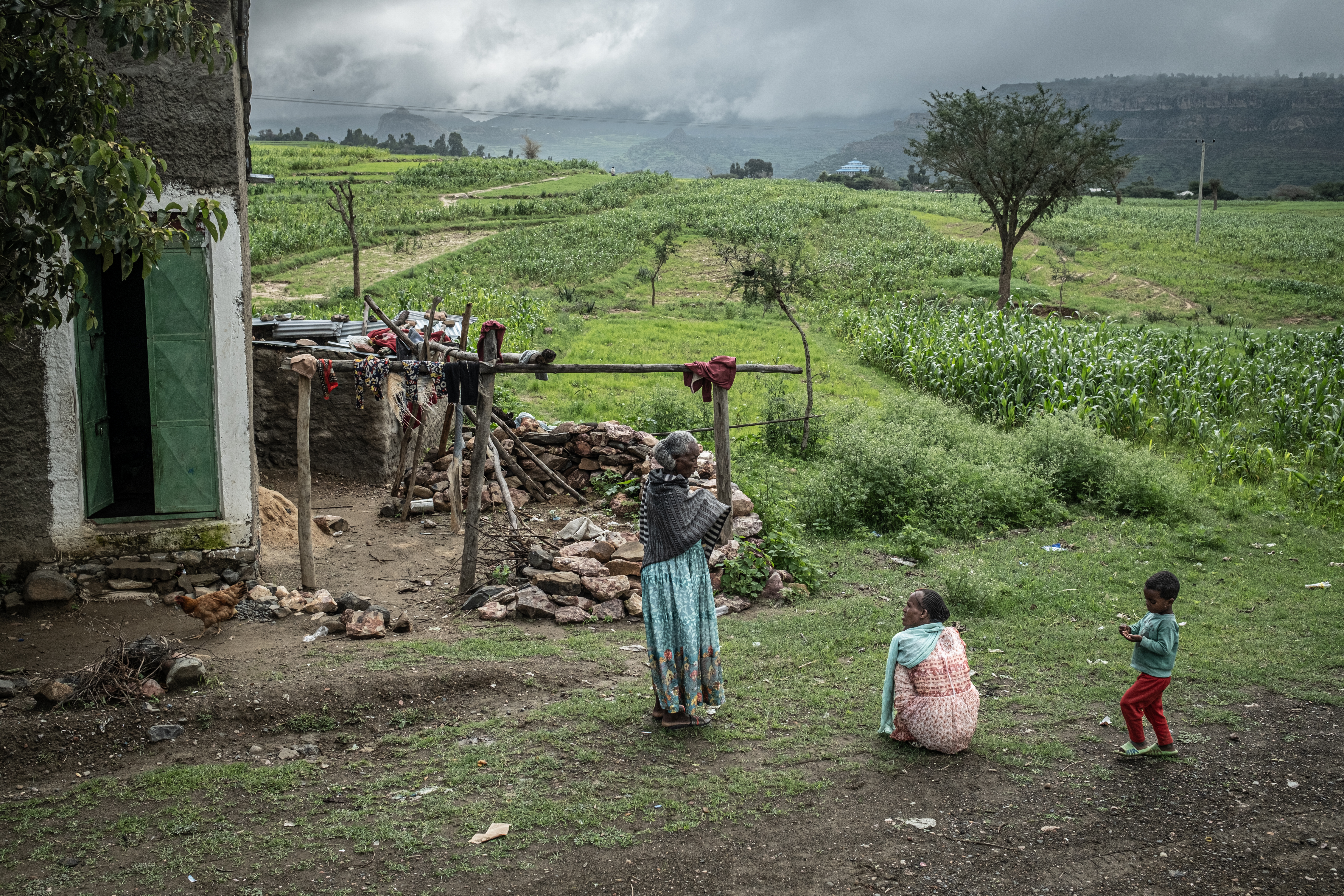 Farmers in Tigray