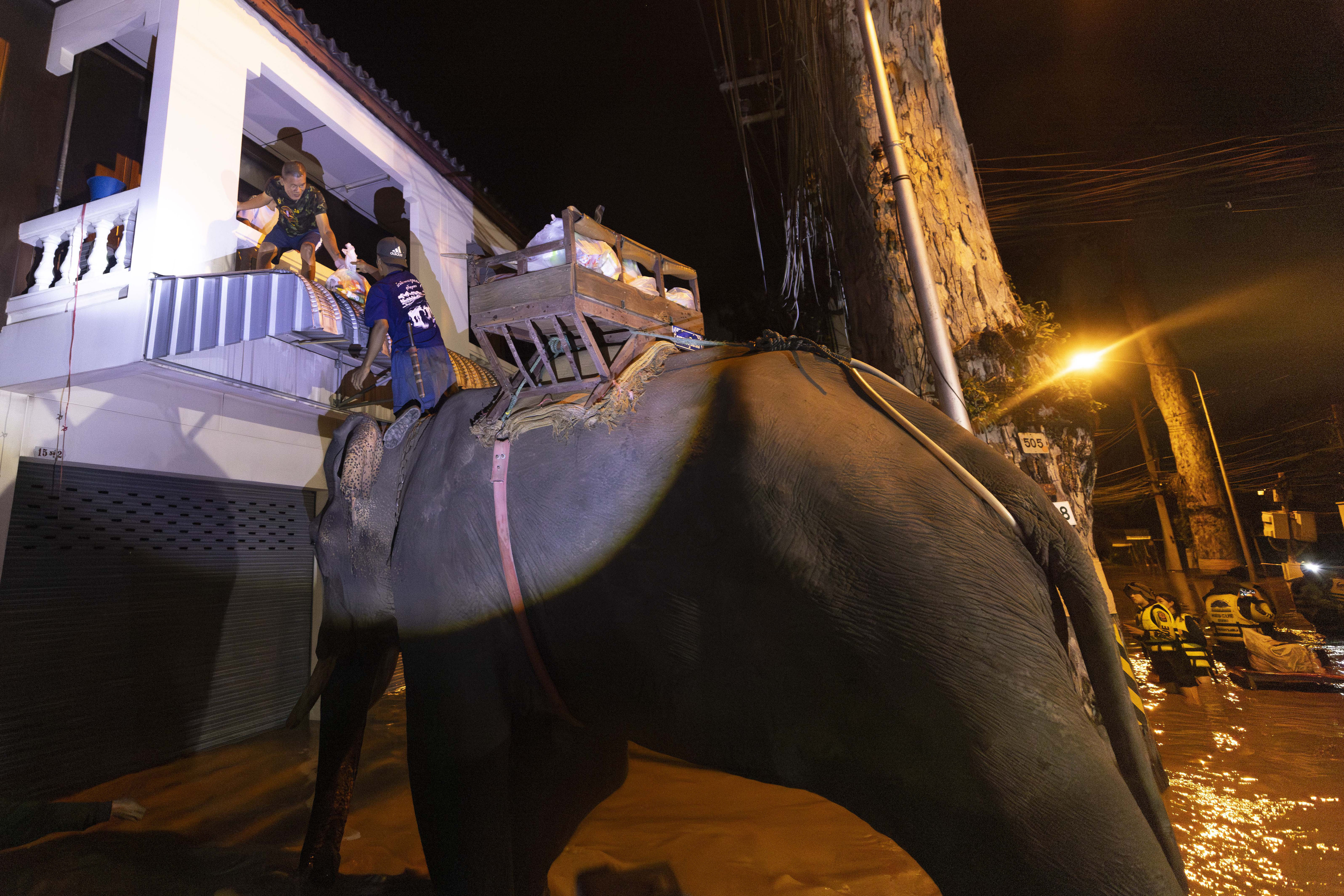 An elephant wading through floodwaters to bring relief to people stranded on the upper floors of their homes. It is night time