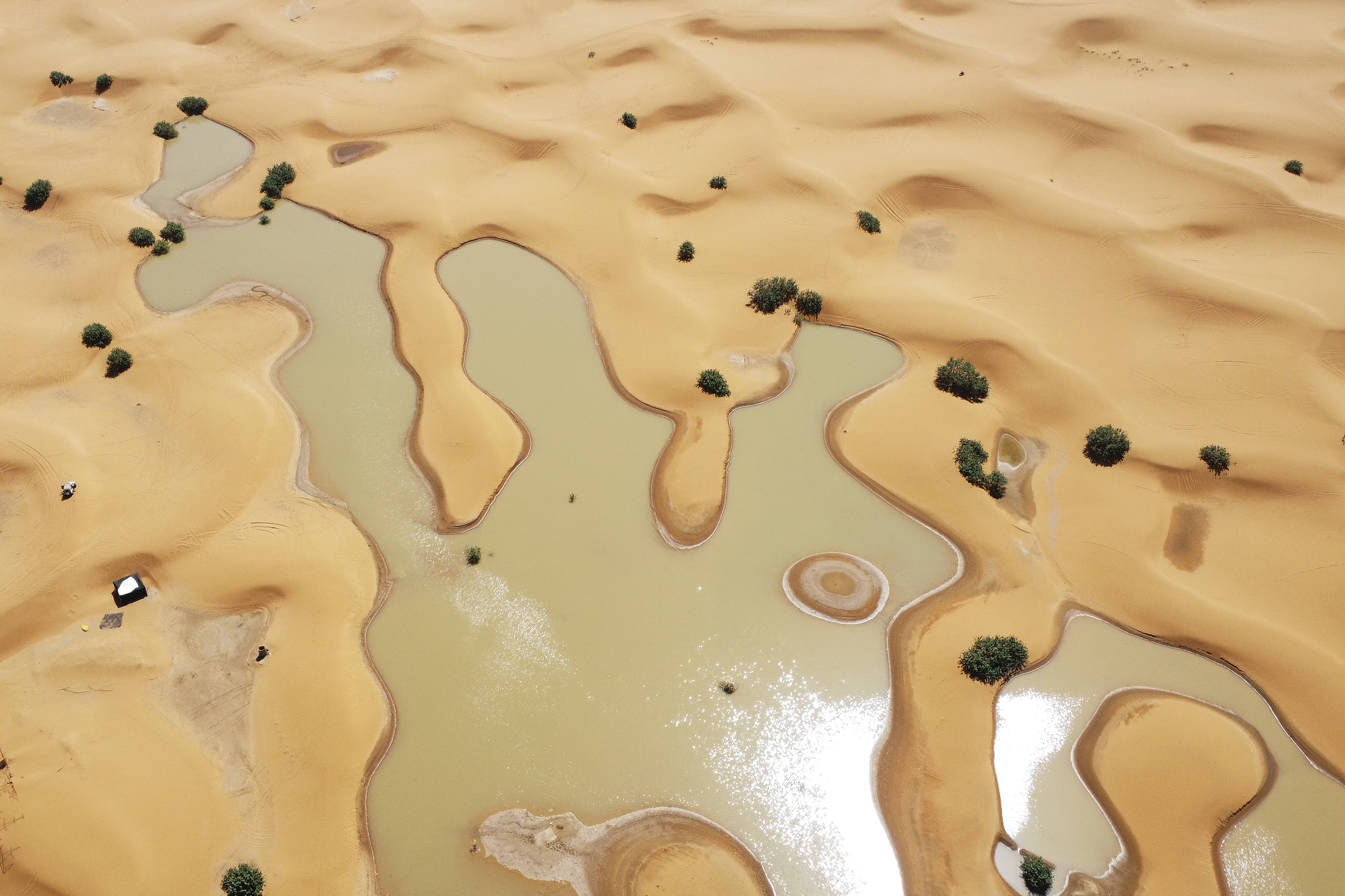 Palm trees are flooded in a lake caused by heavy rainfall in the desert town of Merzouga