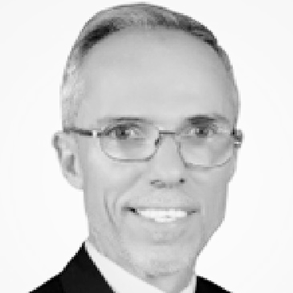 Hassan El-Nabih