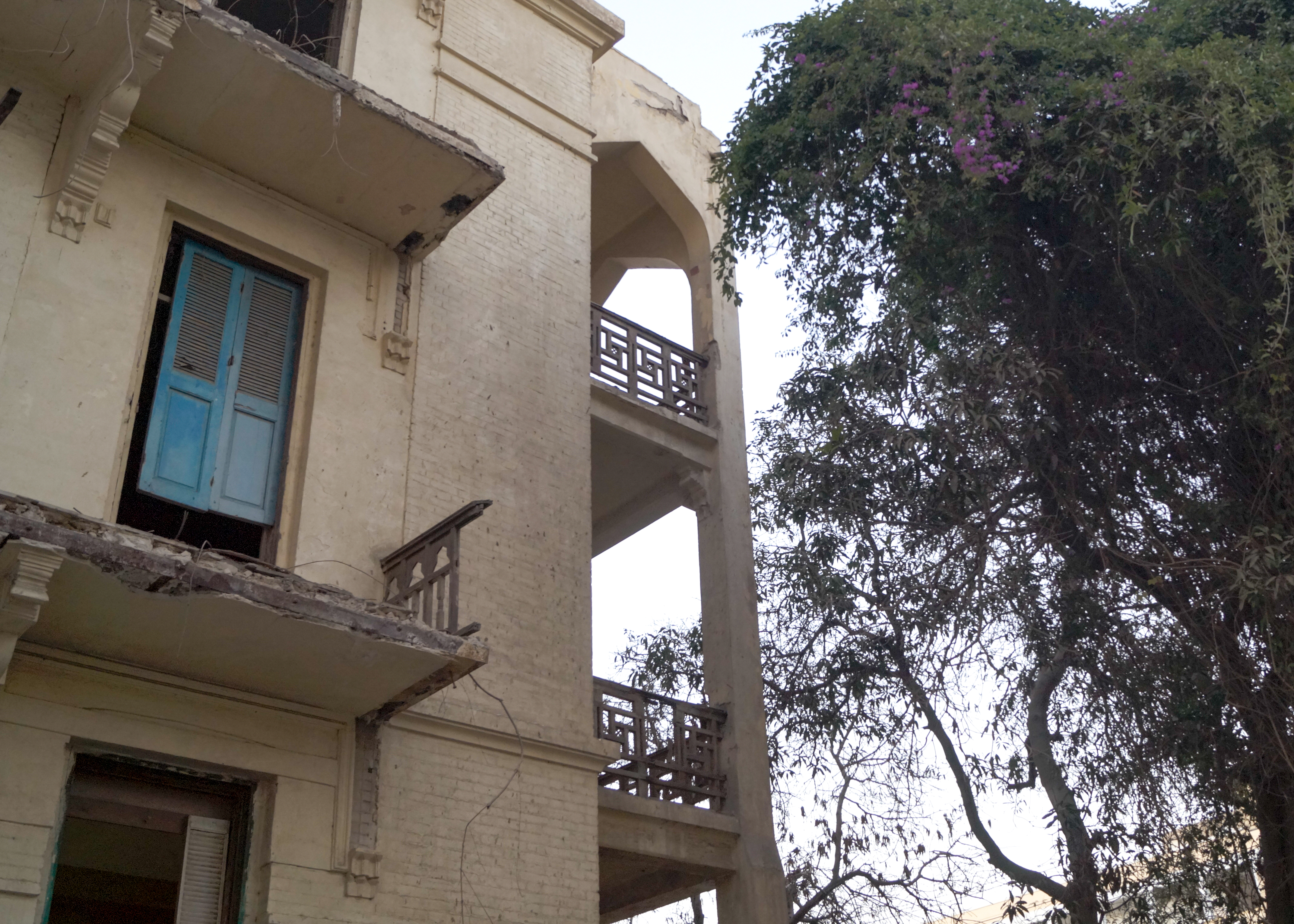 mango tree and house