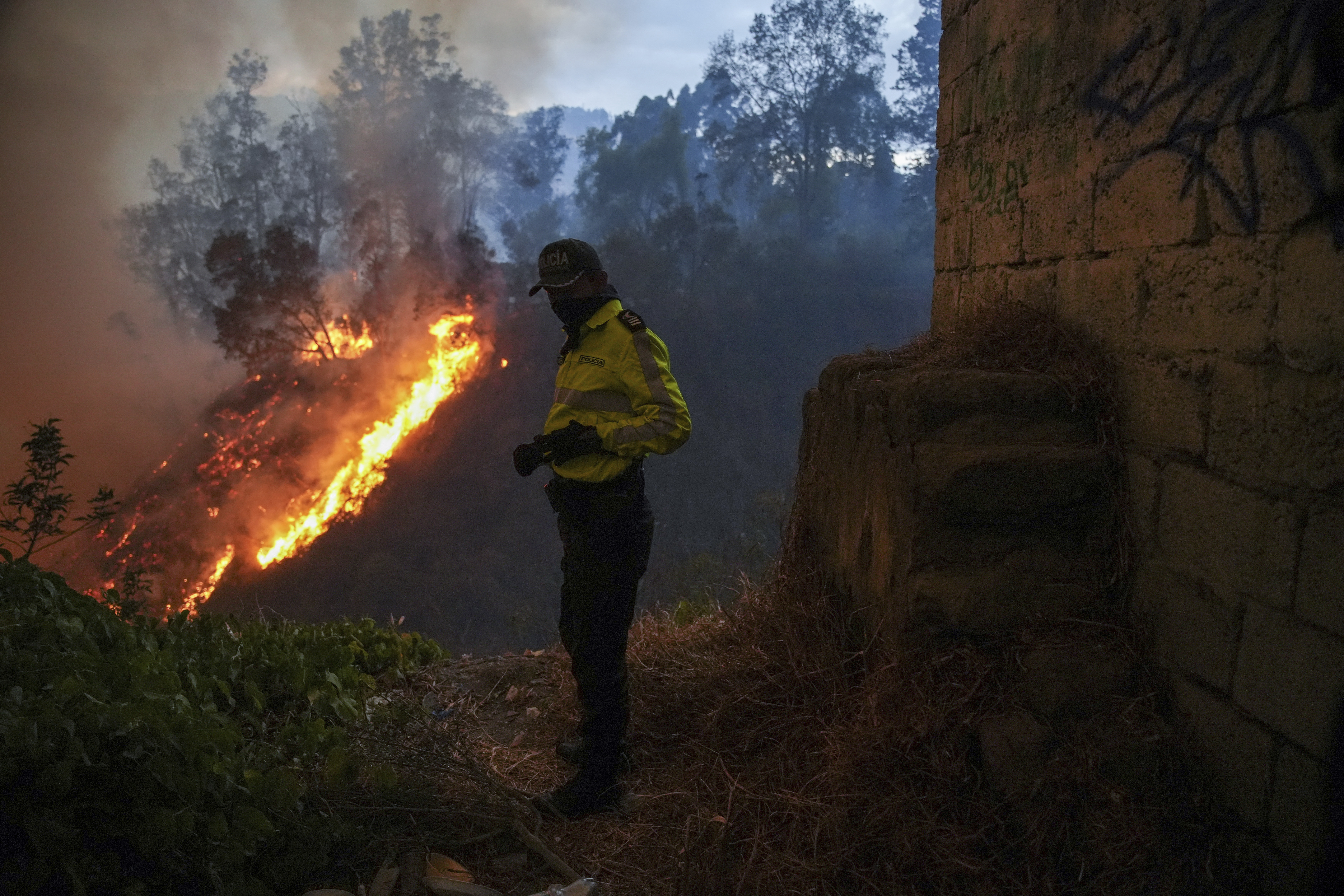 Police officer stands in front of fire in forest