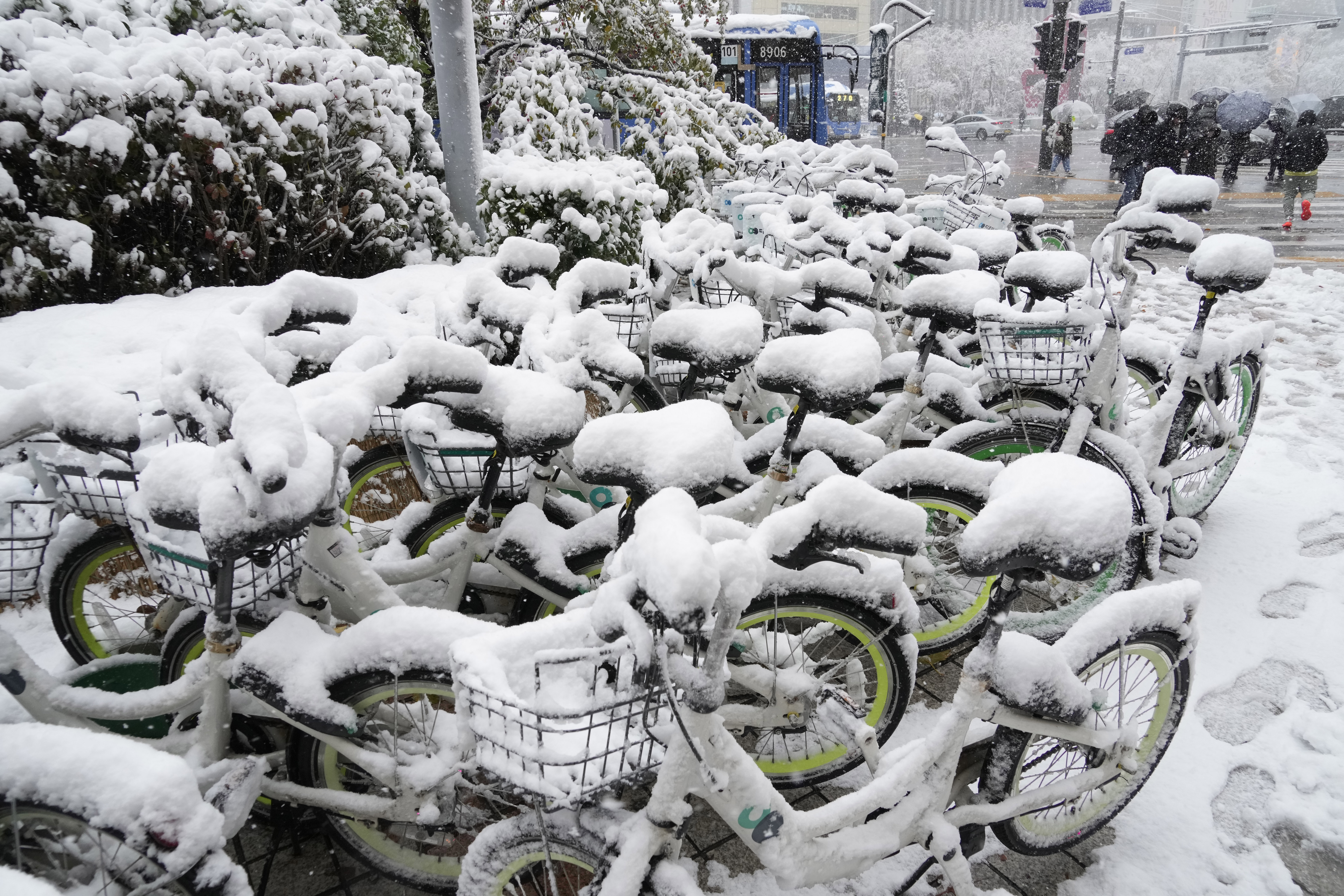South Korean capital hit by record November snowfall