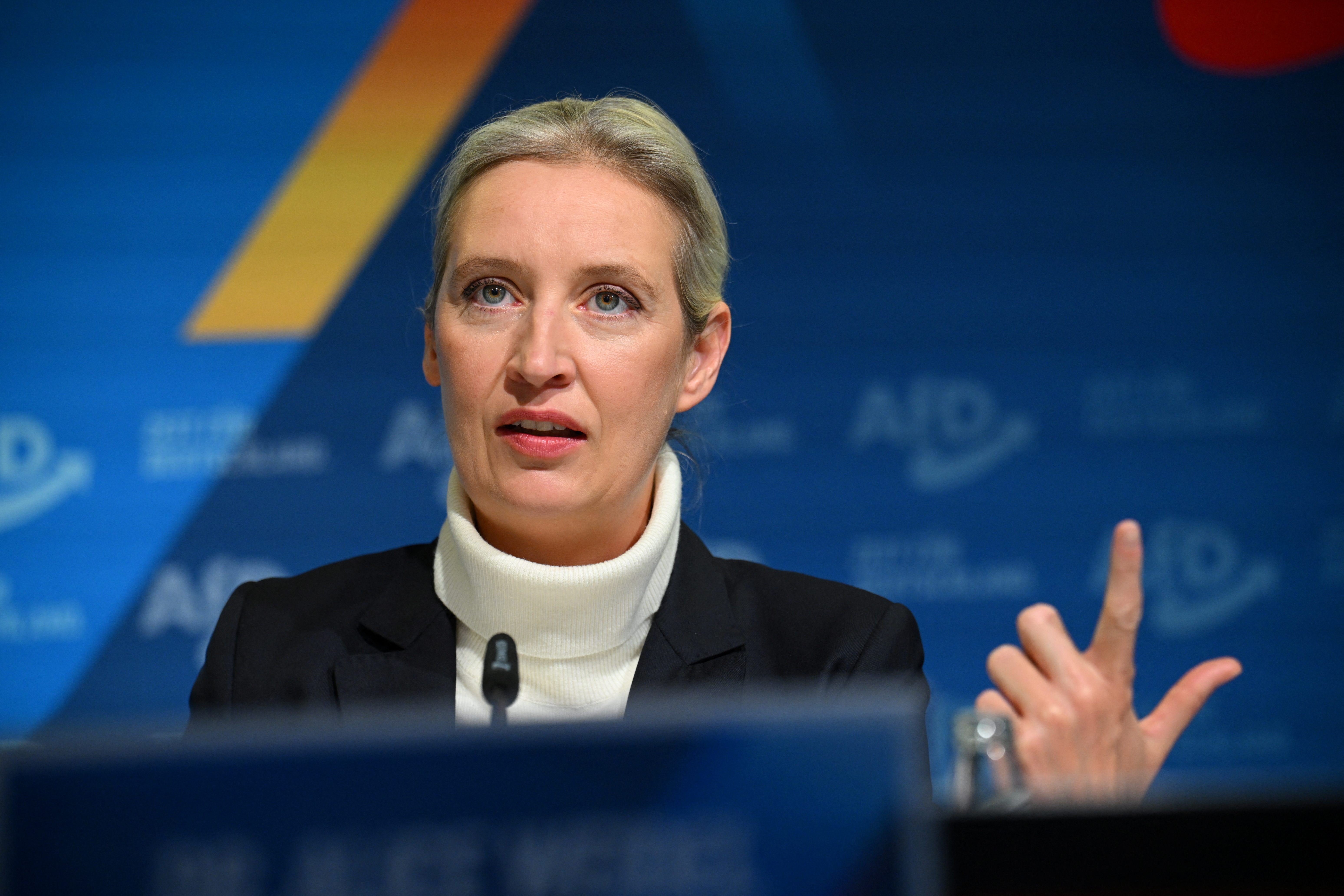 Alice Weidel
