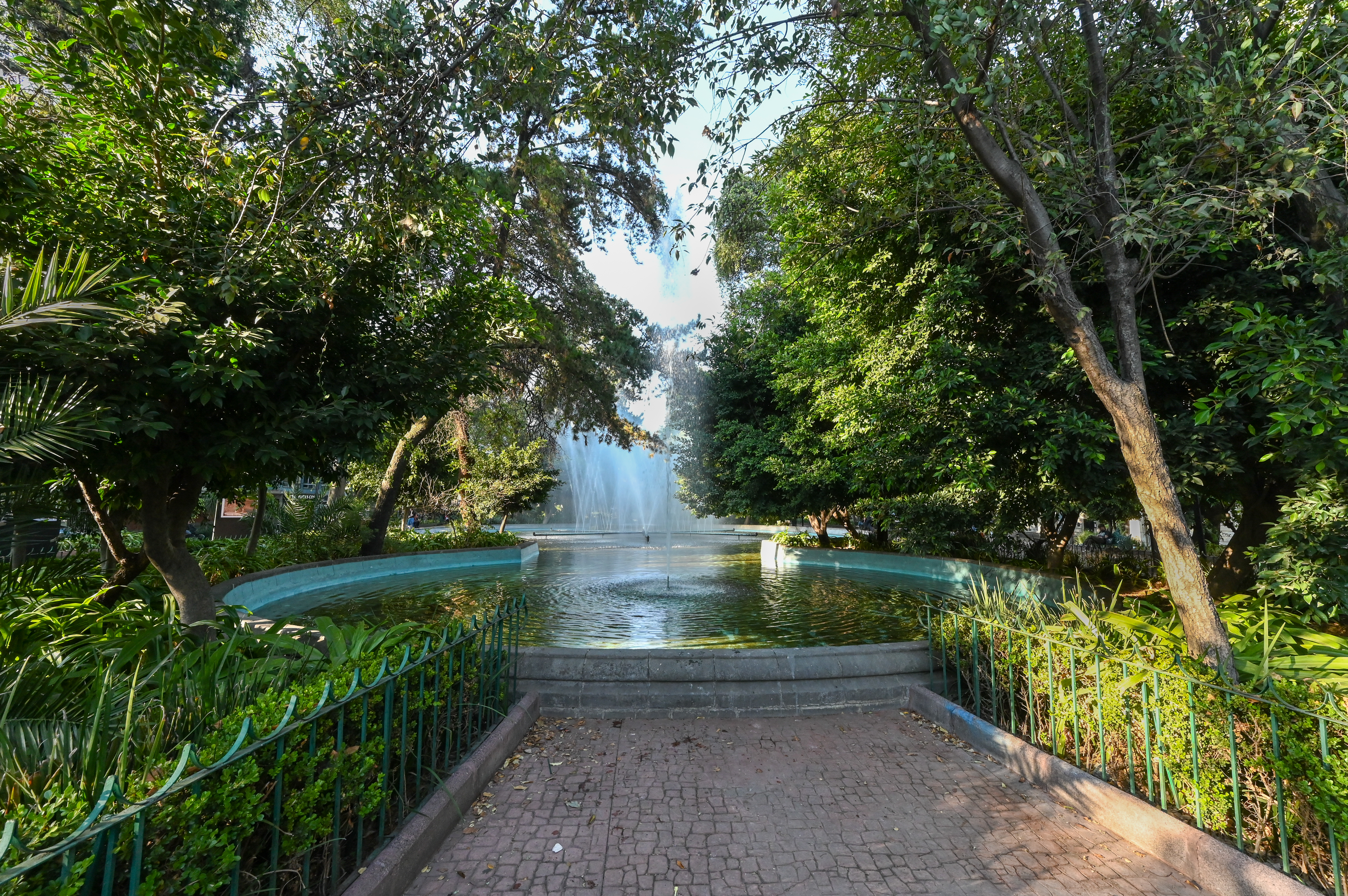 Plaza Luis Cabrera where the Beats hung out and got high