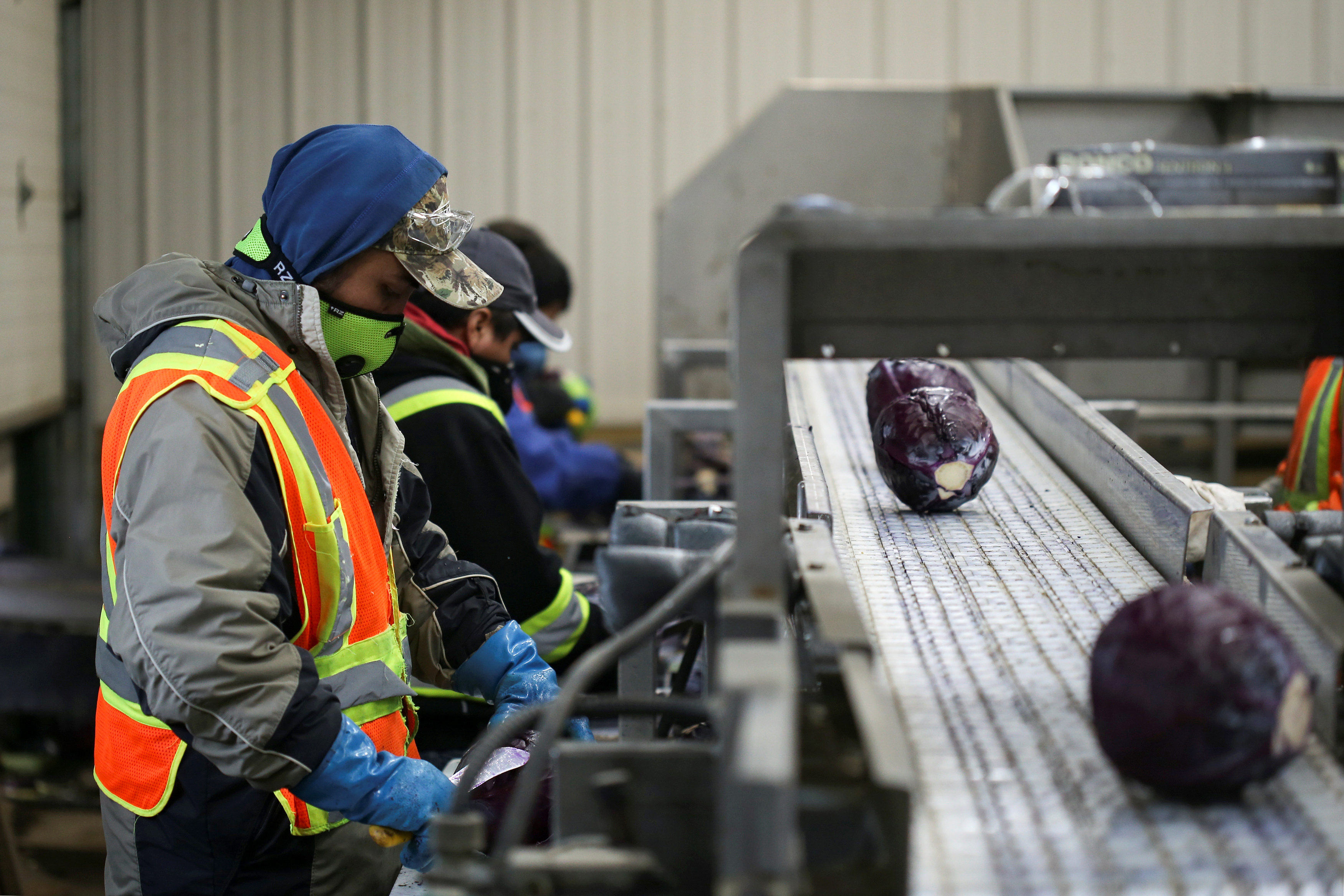 Migrant workers work along an assembly line