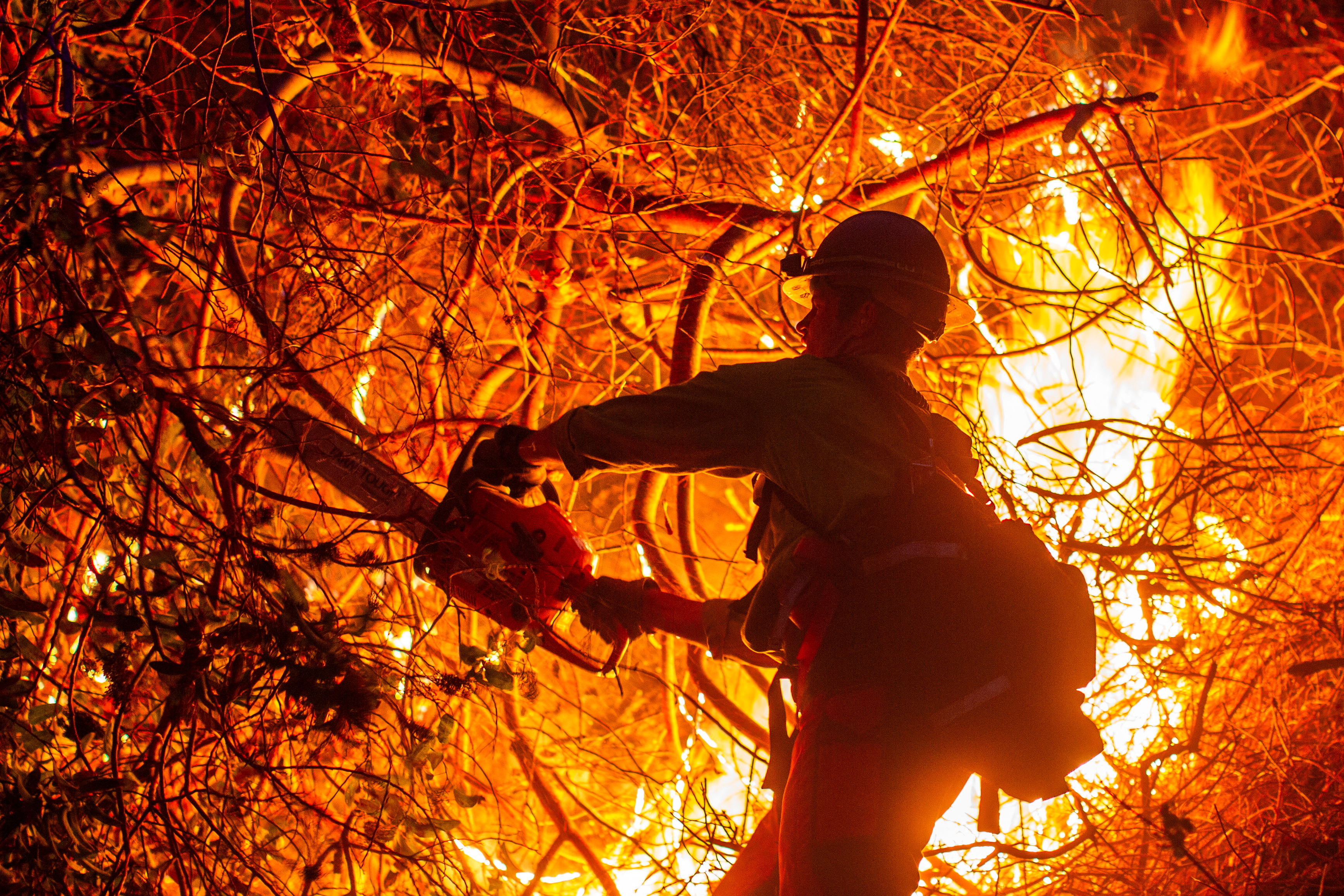 a man uses a chainsaw to cut burning bushes