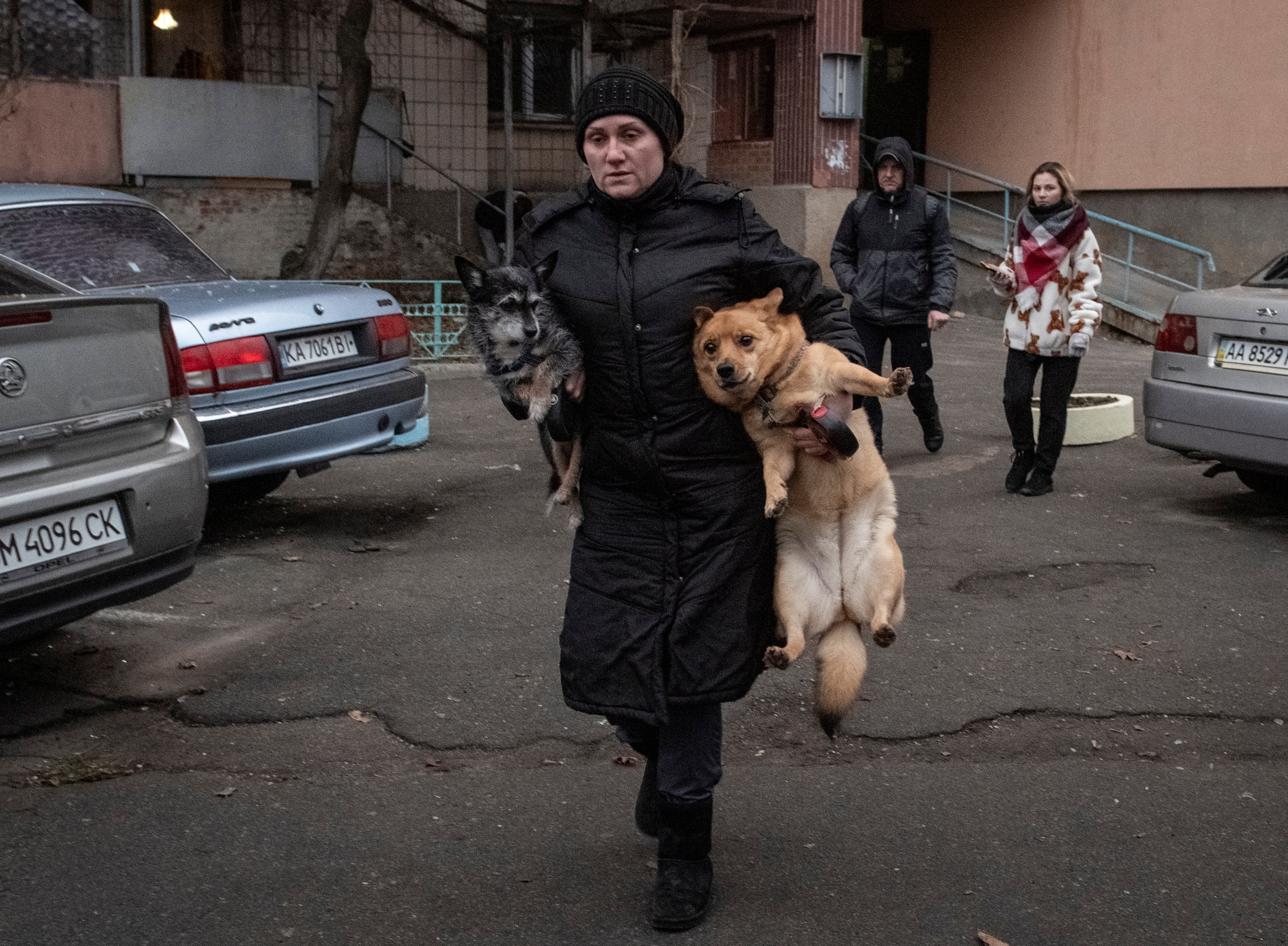 A resident carries dogs at a site of a Russian missile strike, amid Russia's attack on Ukraine, in Kyiv, Ukraine January 18, 2025. REUTERS/Vladyslav Musiienko