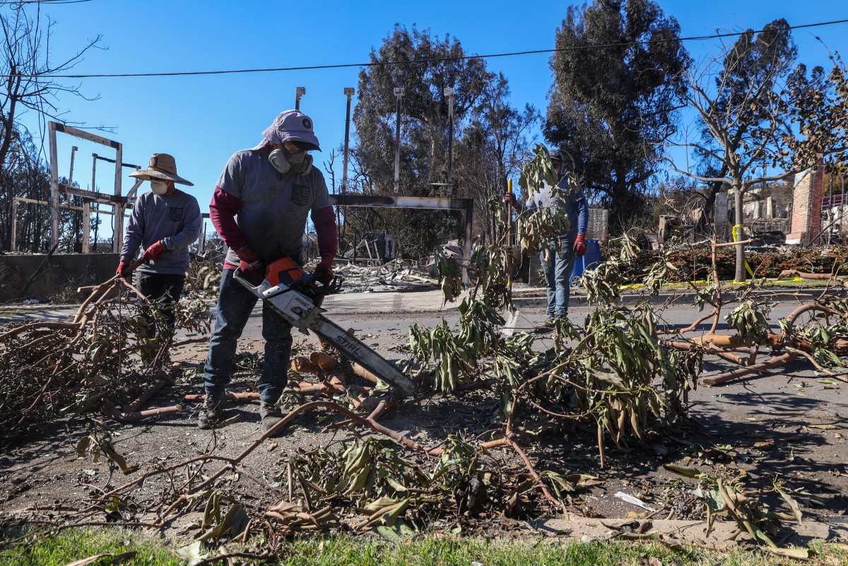 Vigilante fire clean-up launched by local Los Angeles contractor